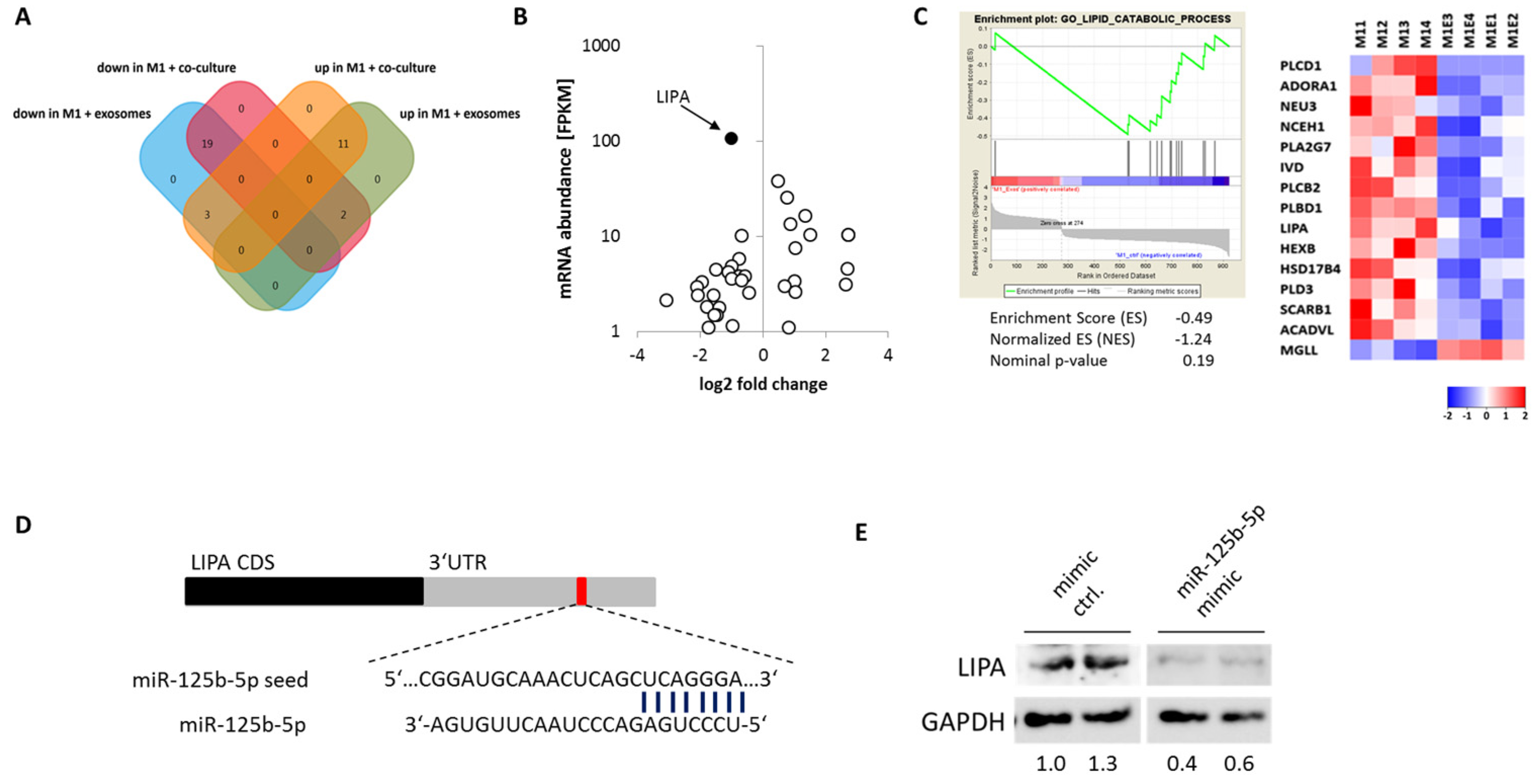 Cancers 12 00464 g006