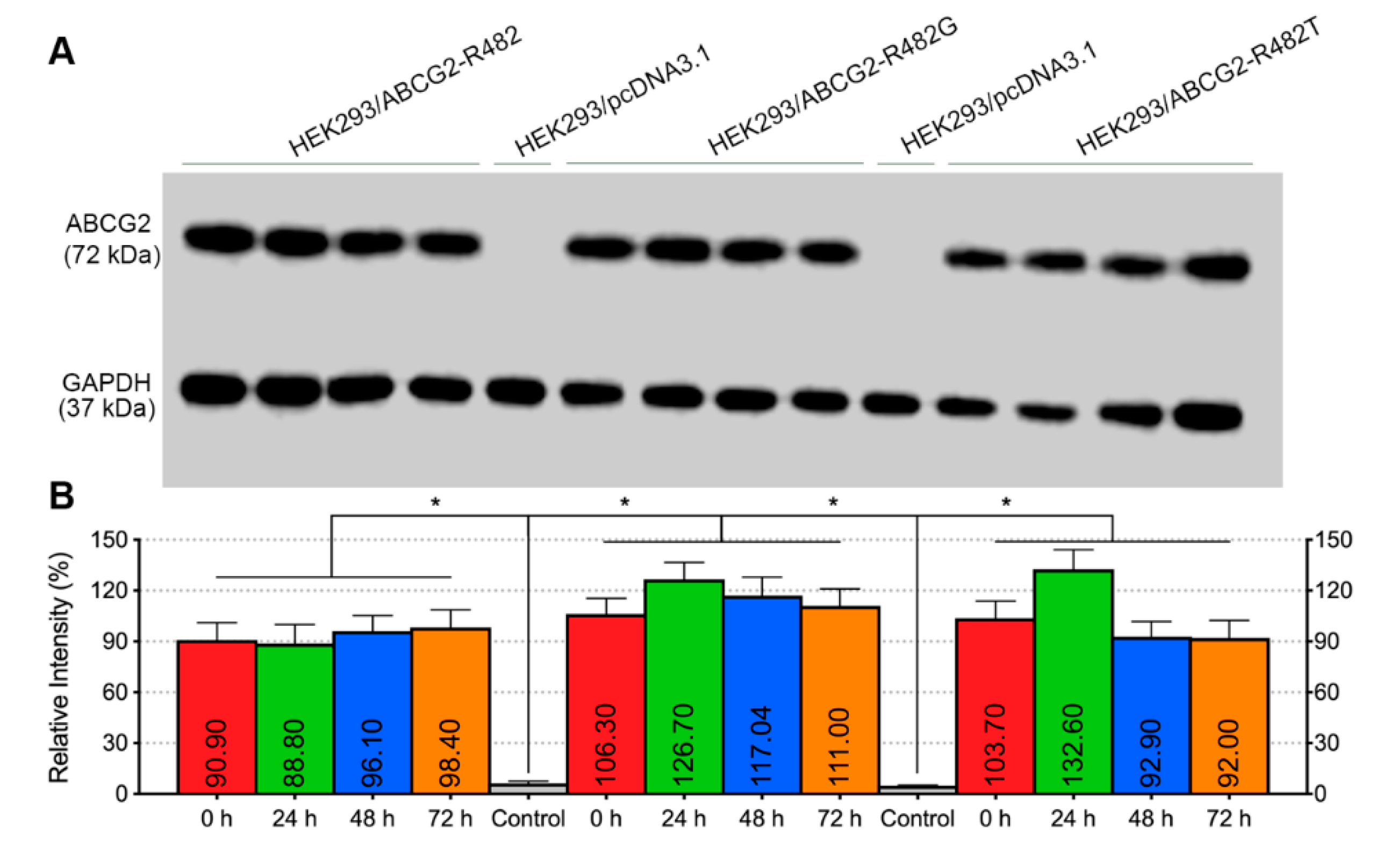 Cancers 12 00466 g007a