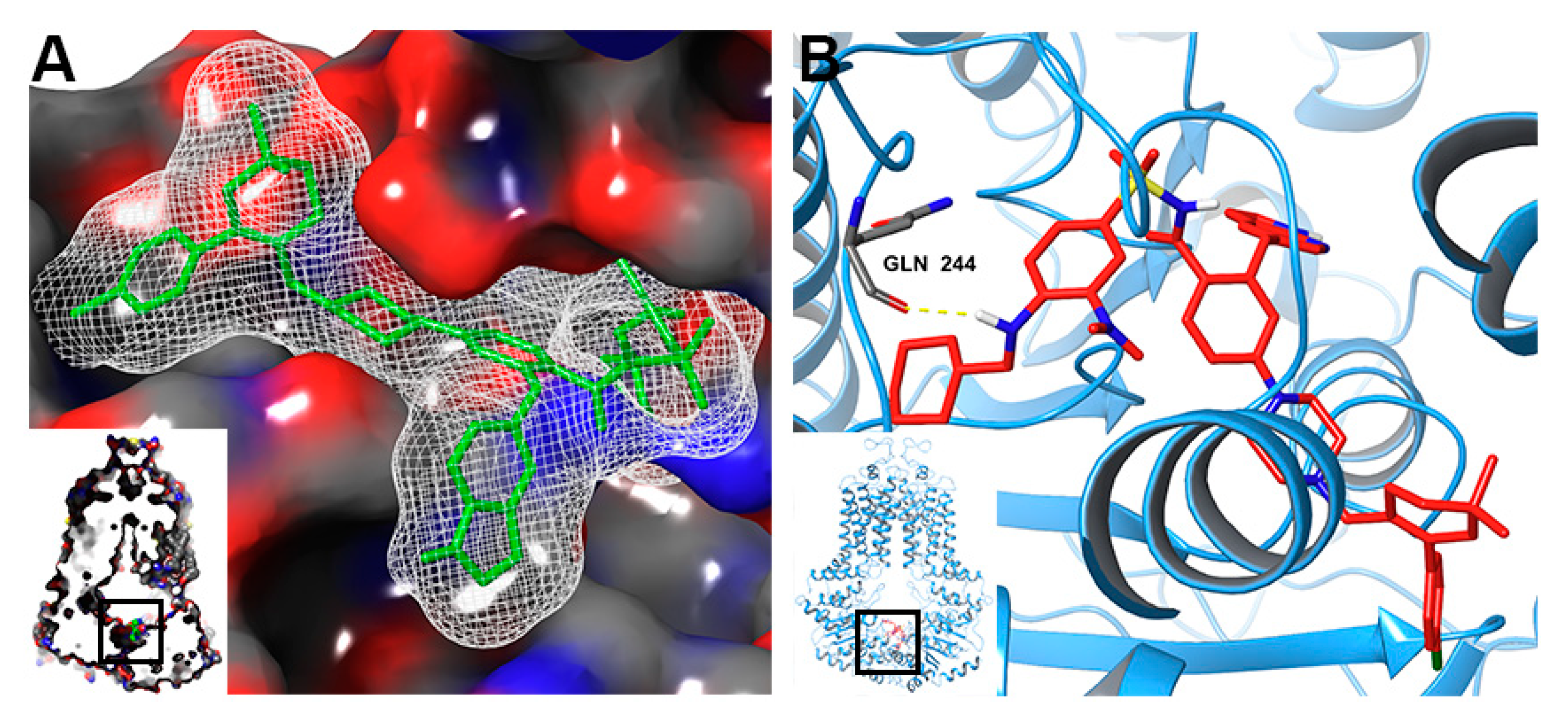 Cancers 12 00466 g011