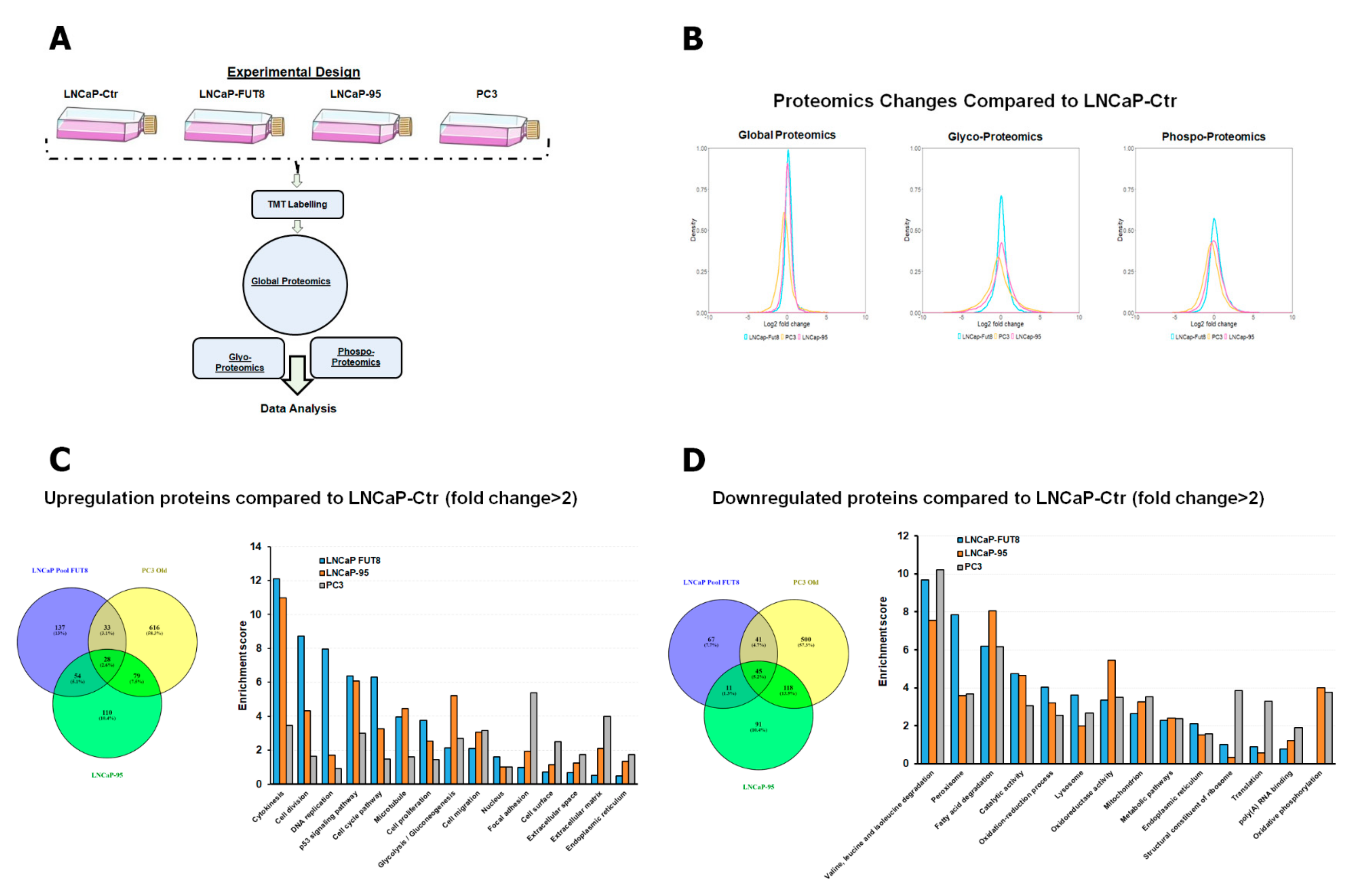 Cancers 12 00468 g001