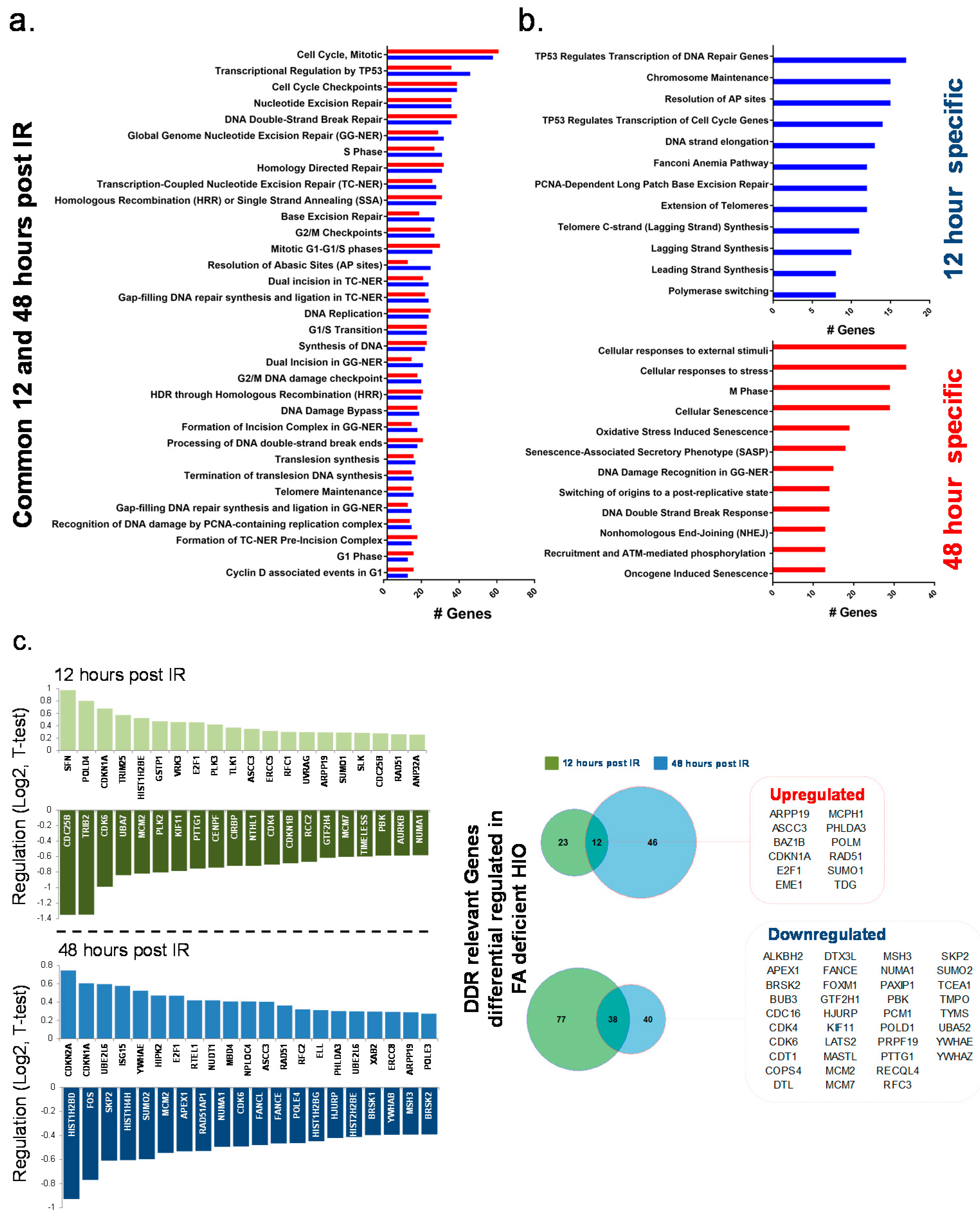 Cancers 12 00469 g003
