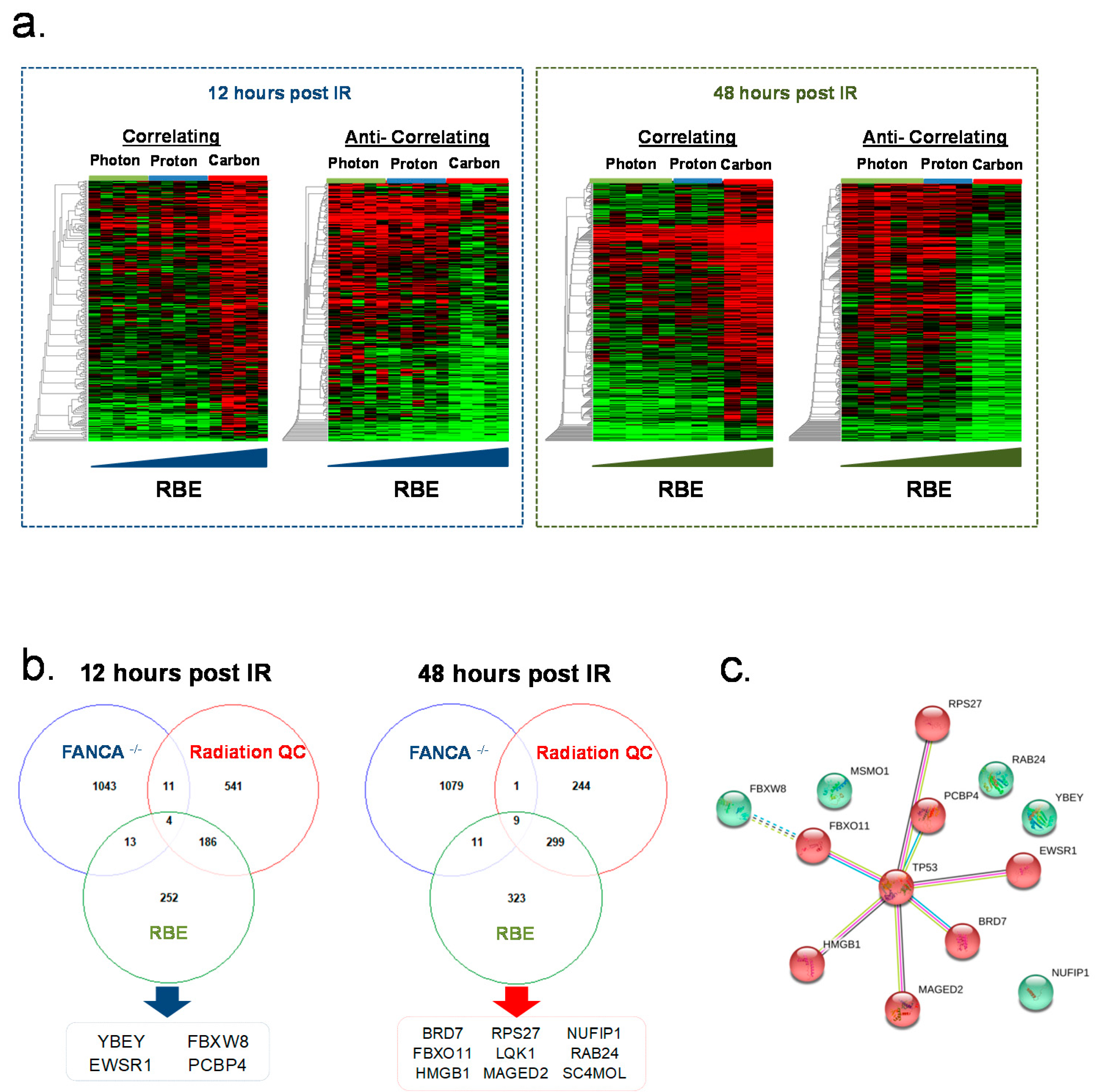 Cancers 12 00469 g004