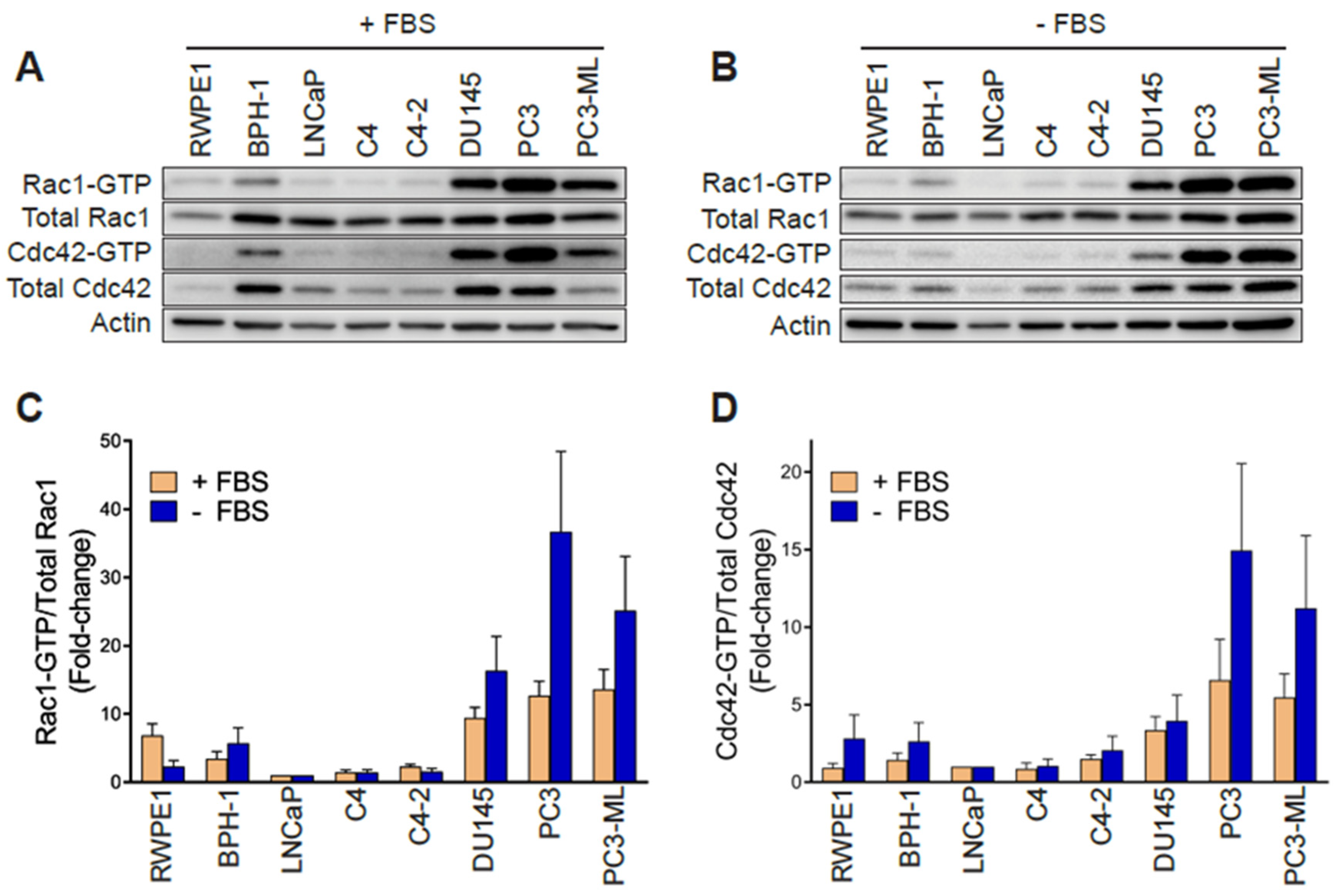 Cancers 12 00480 g001a