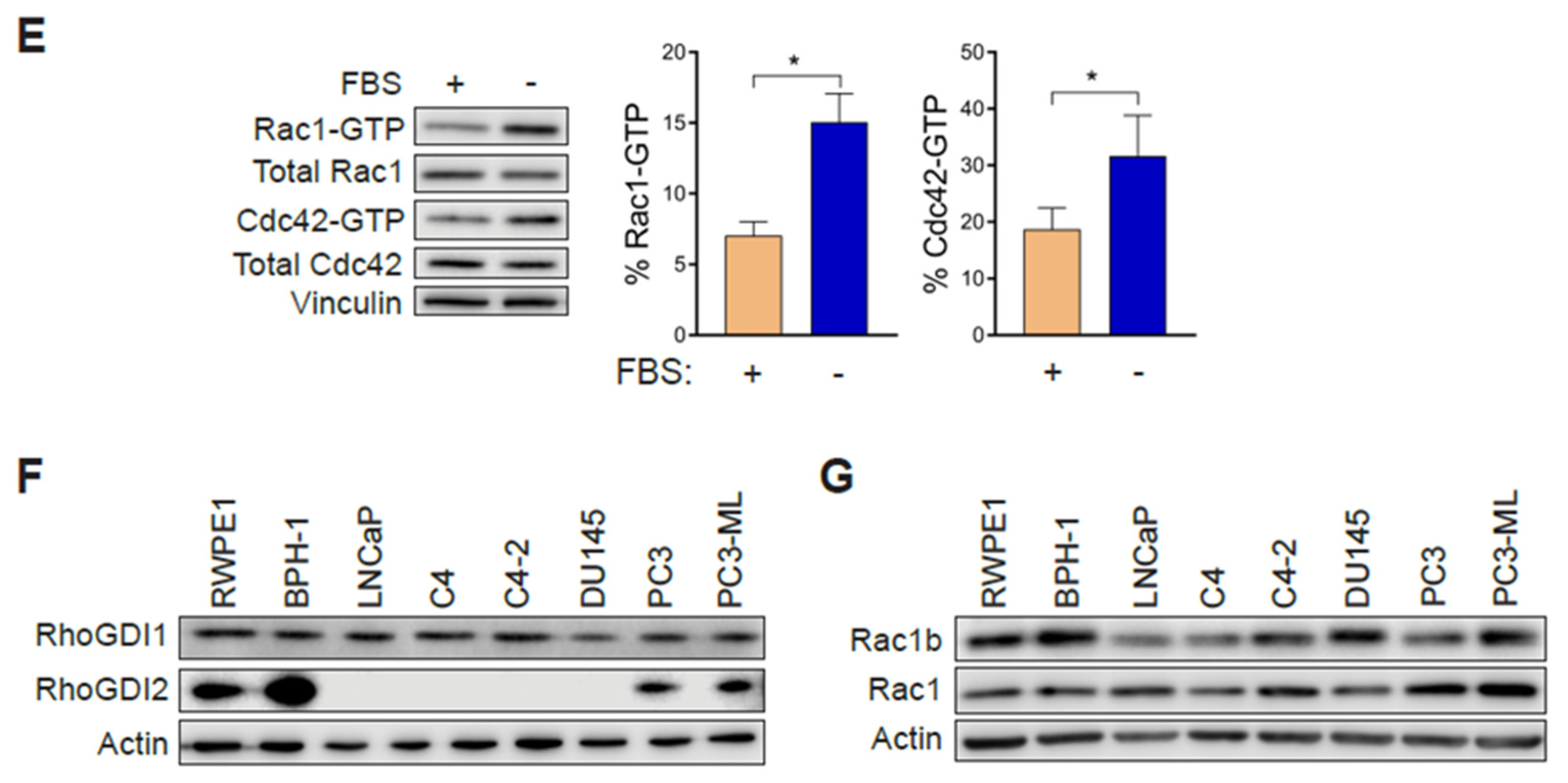 Cancers 12 00480 g001b
