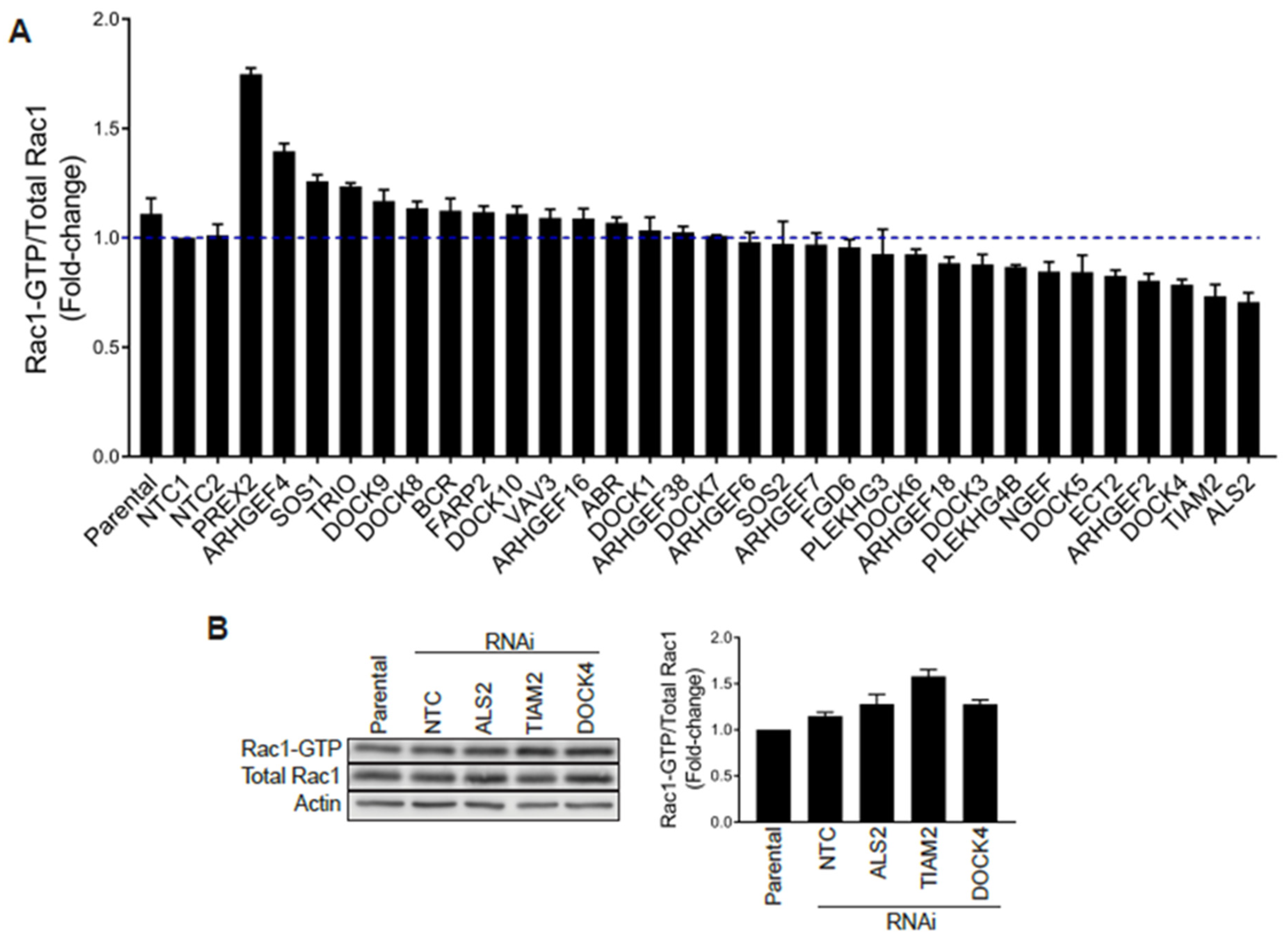 Cancers 12 00480 g005