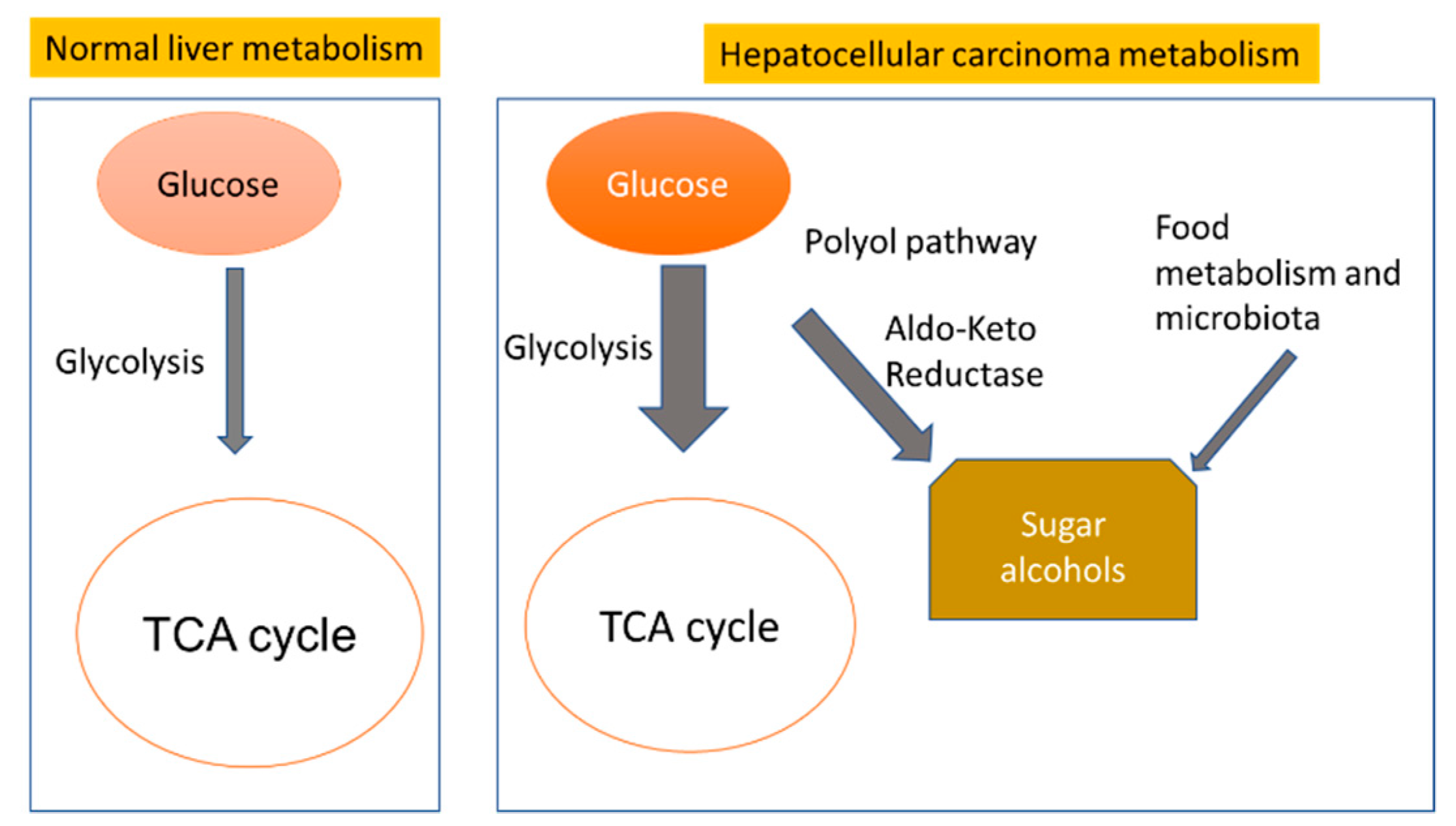 Cancers 12 00484 g008
