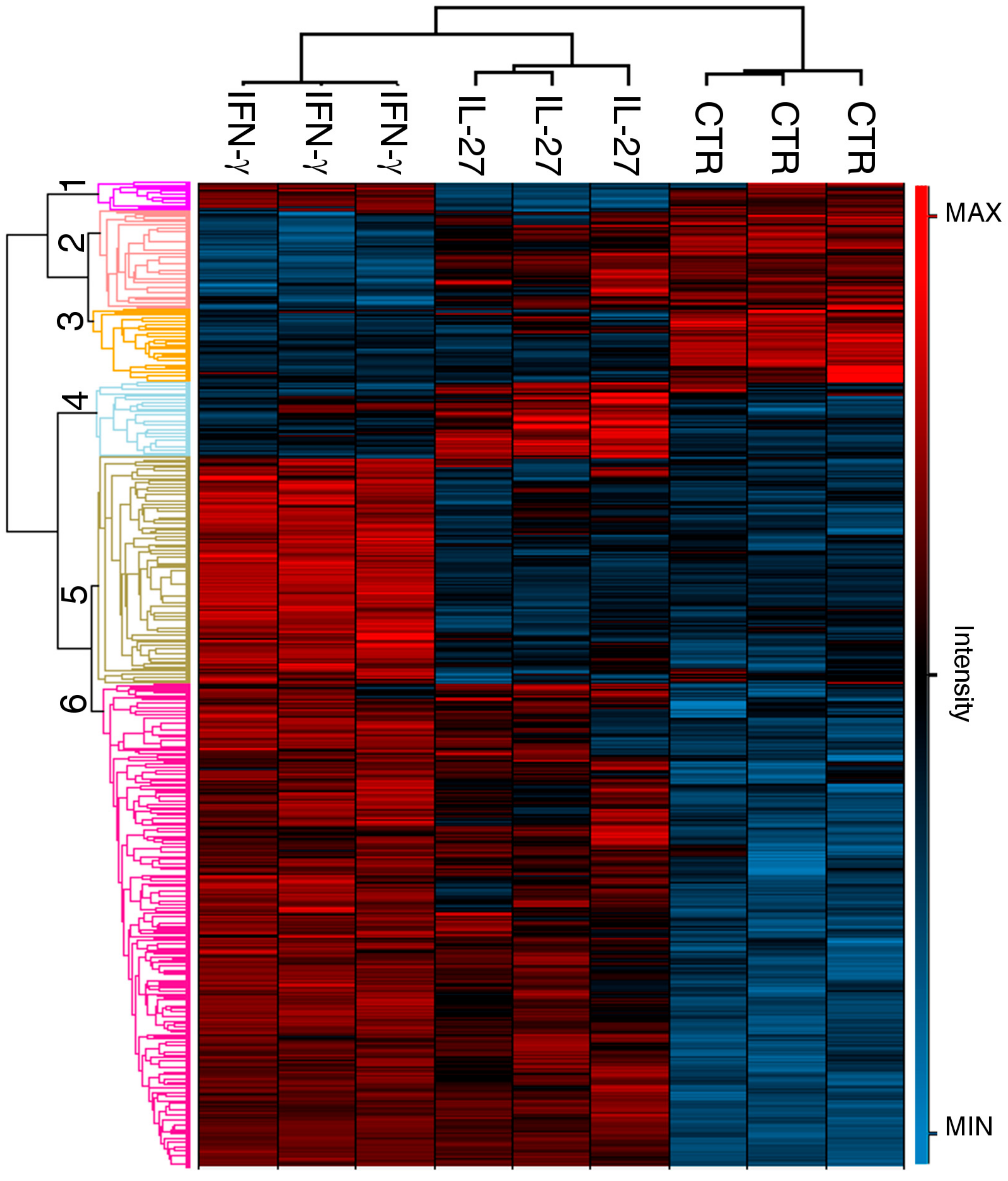 Cancers 12 00488 g001