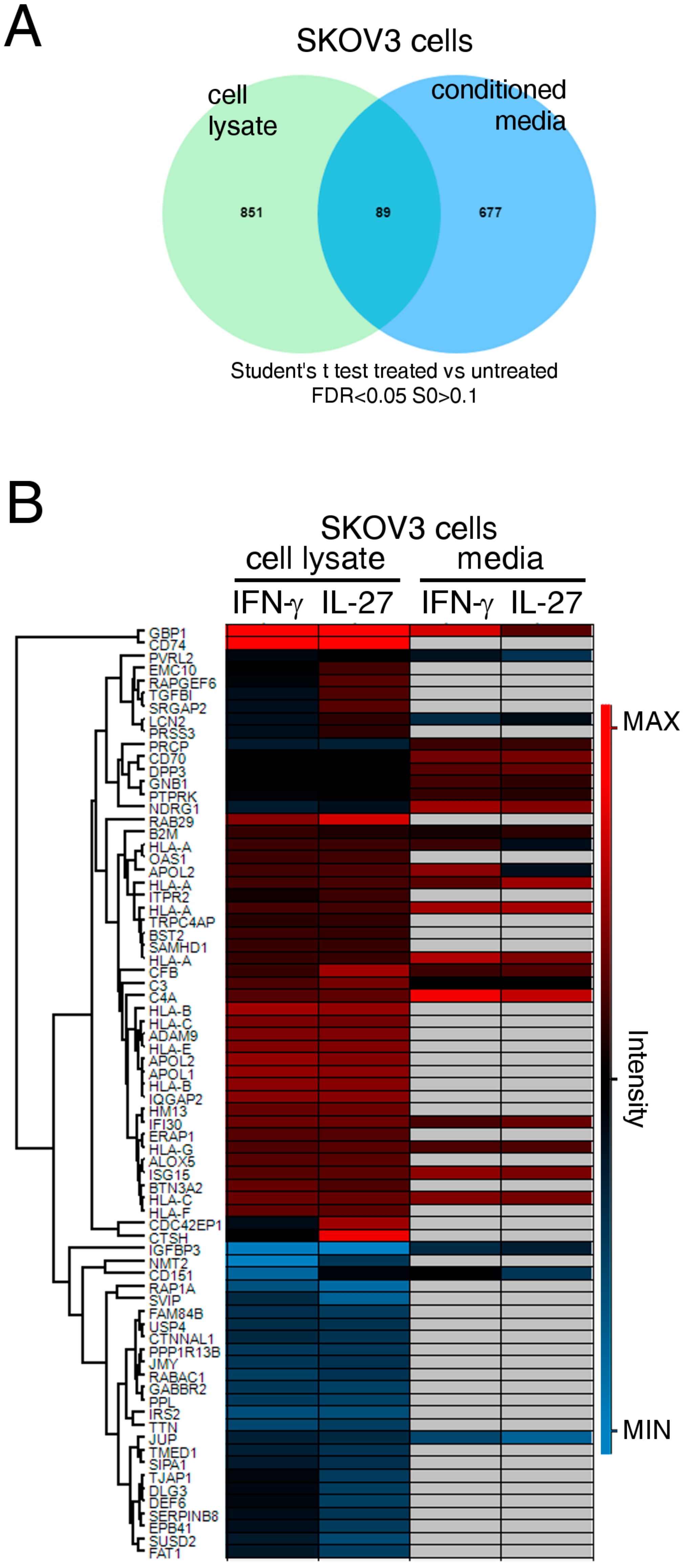 Cancers 12 00488 g002