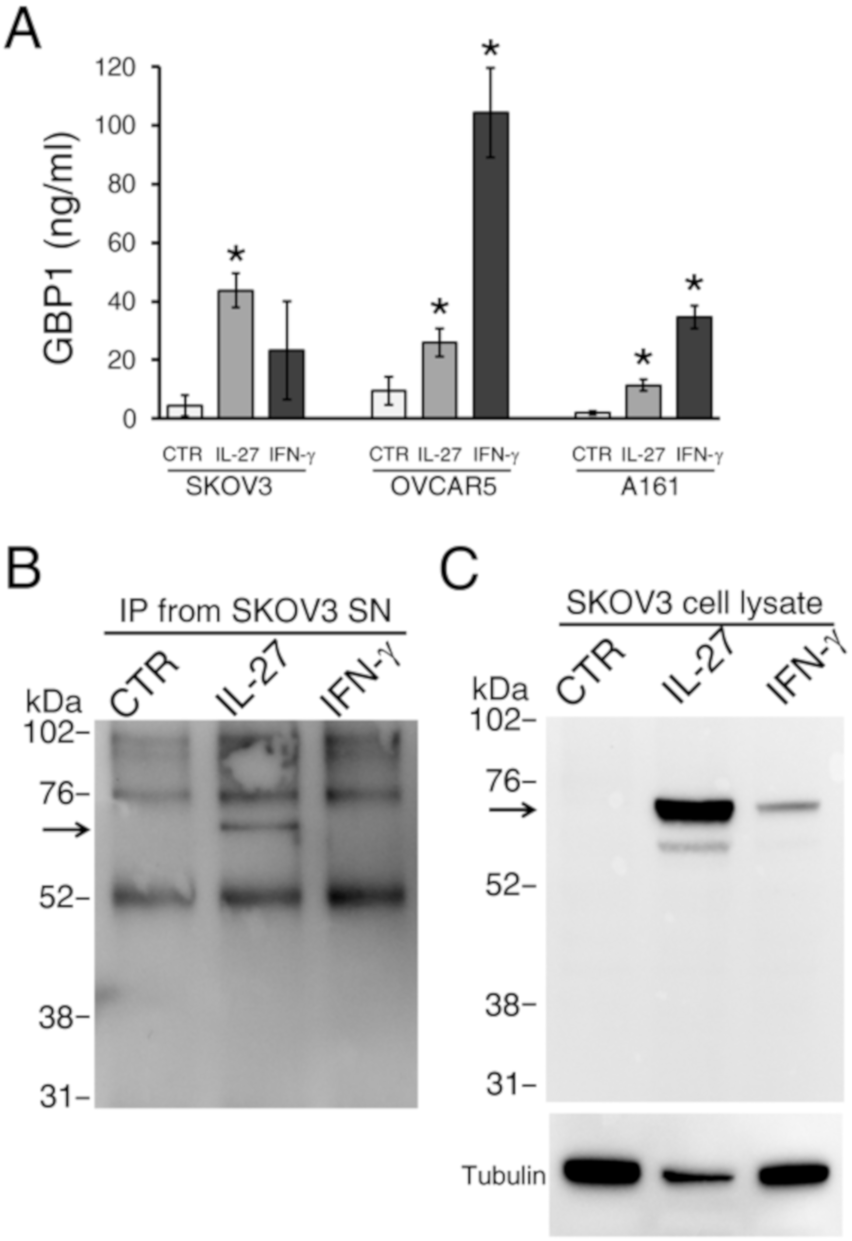 Cancers 12 00488 g003