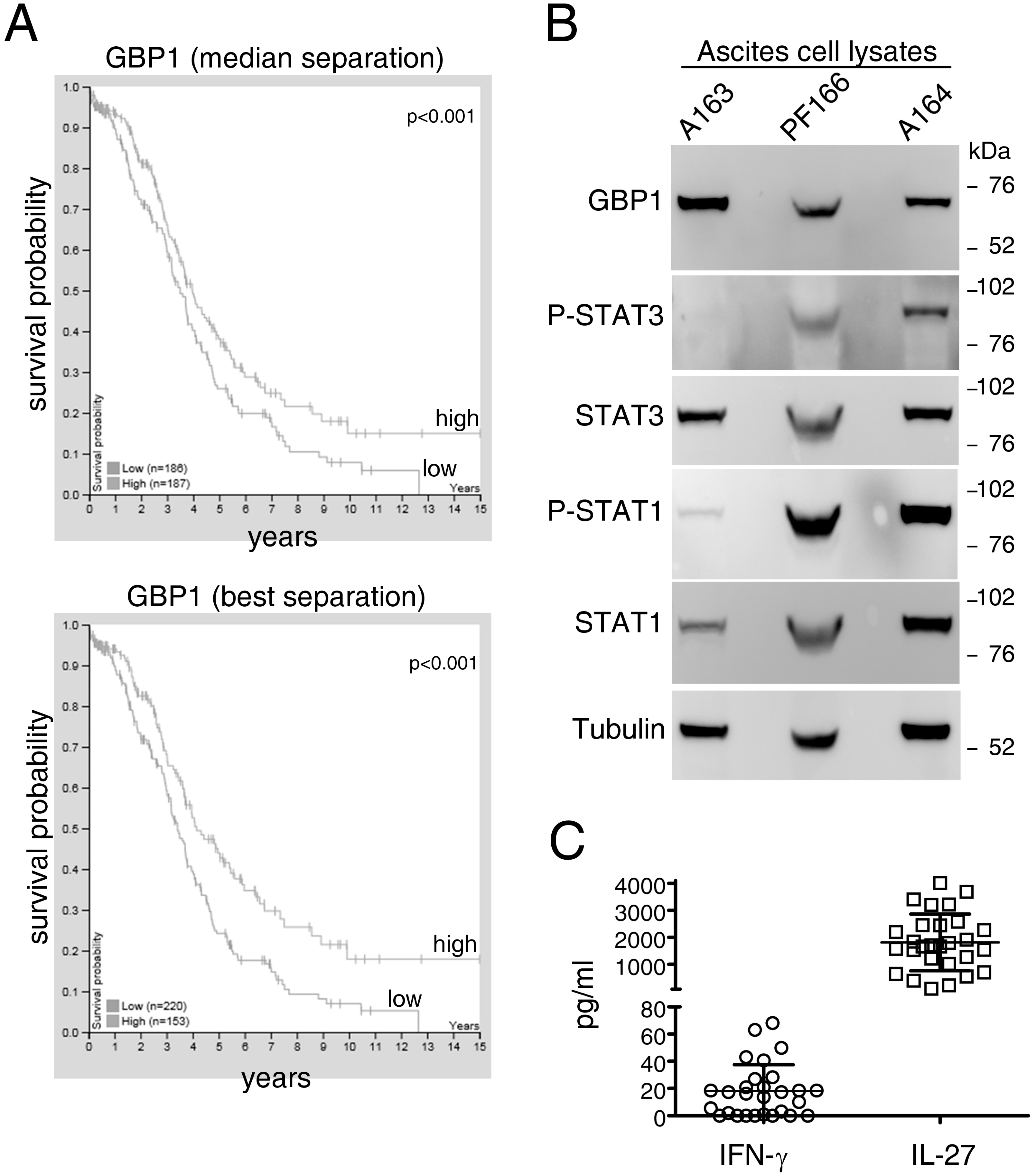 Cancers 12 00488 g004