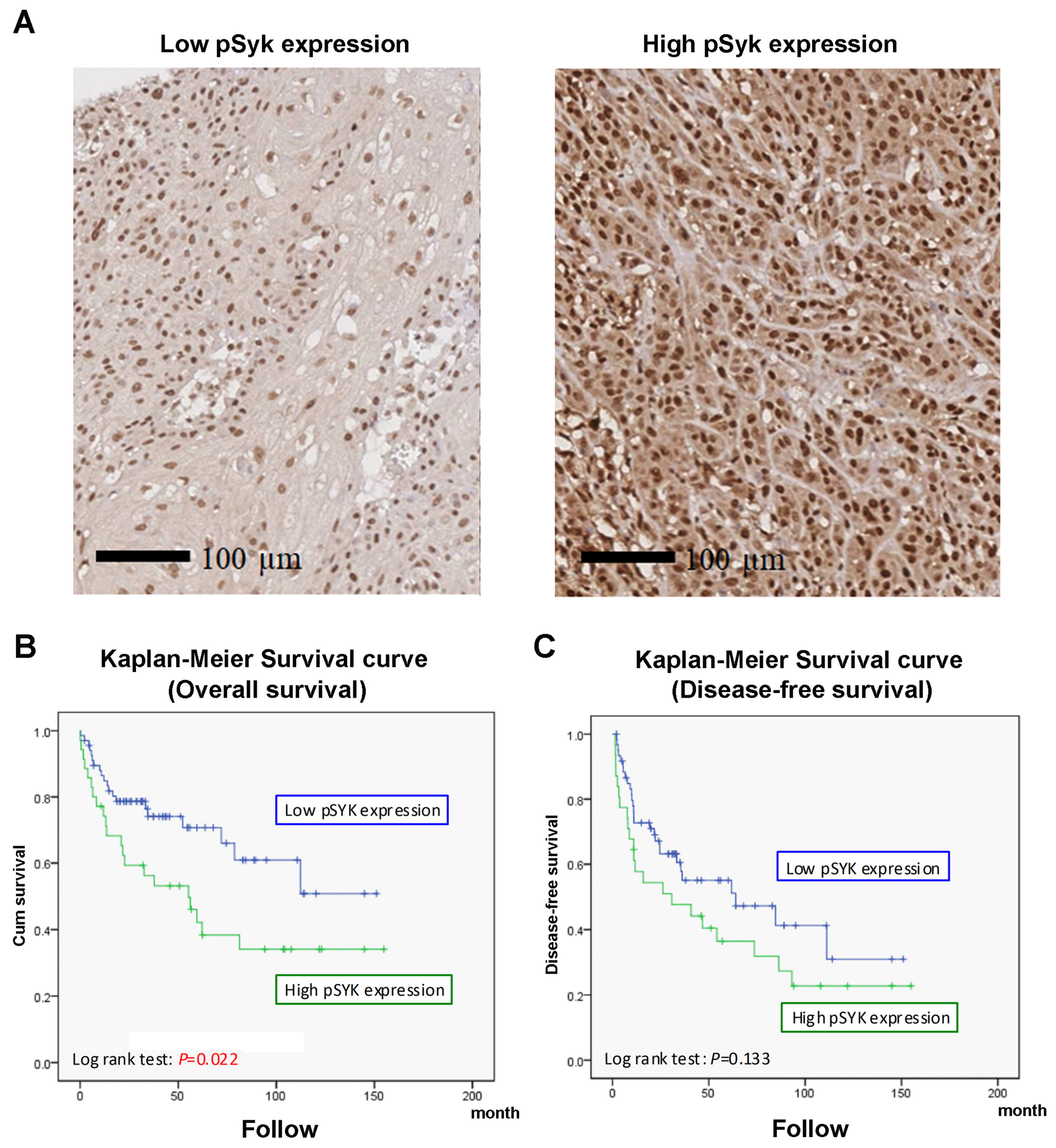 Cancers 12 00489 g006