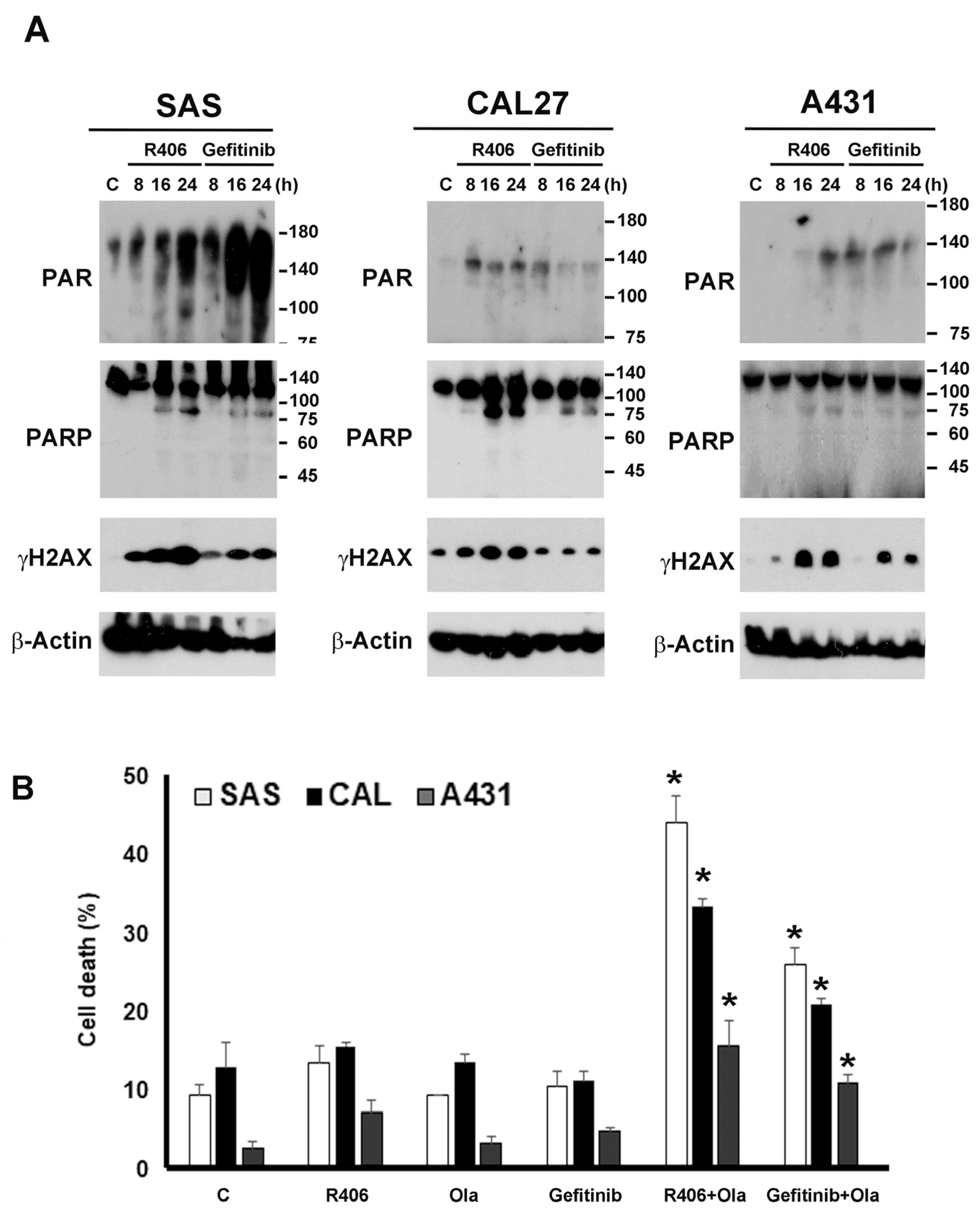 Cancers 12 00489 g007