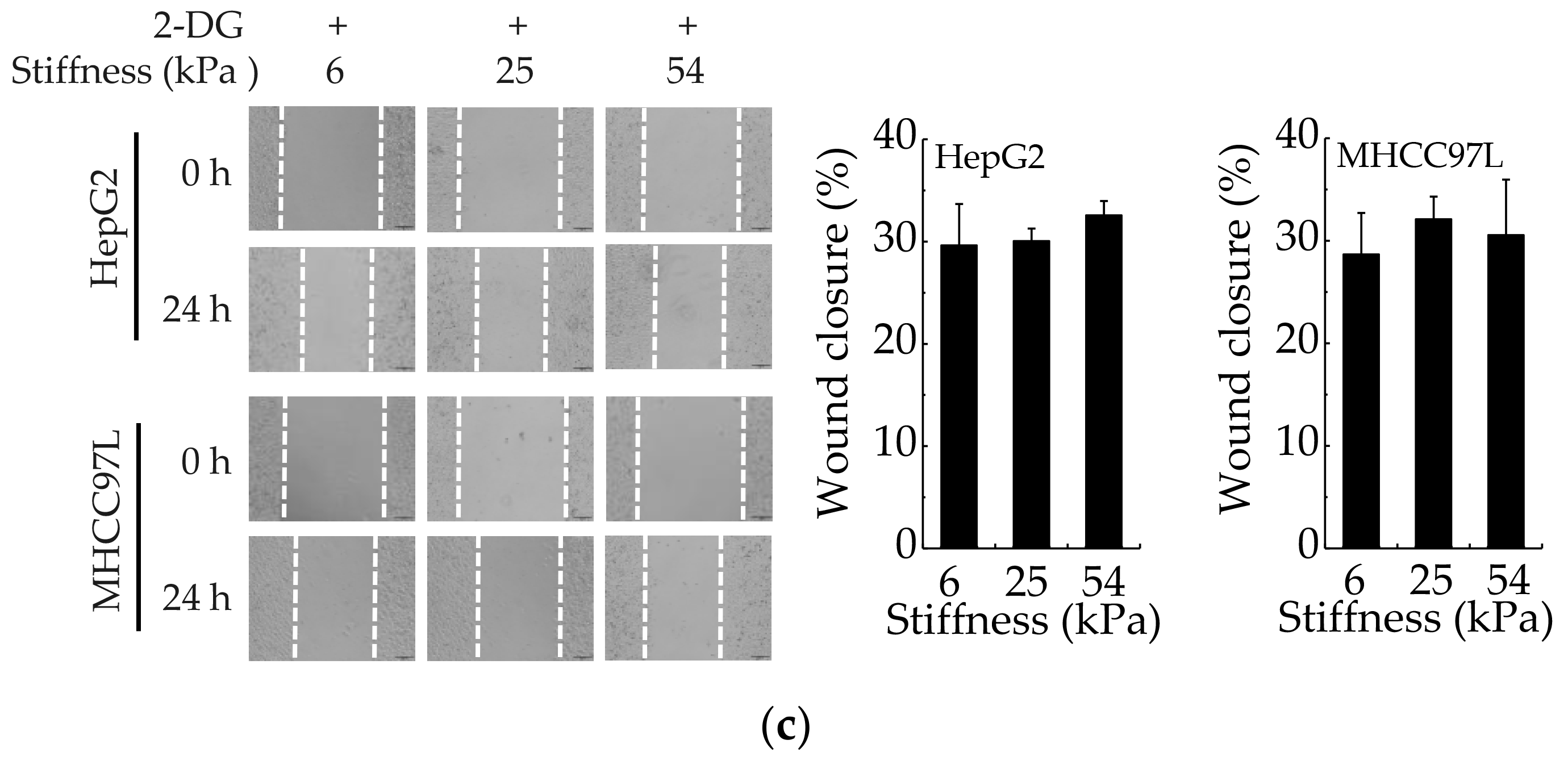 Cancers 12 00490 g003b