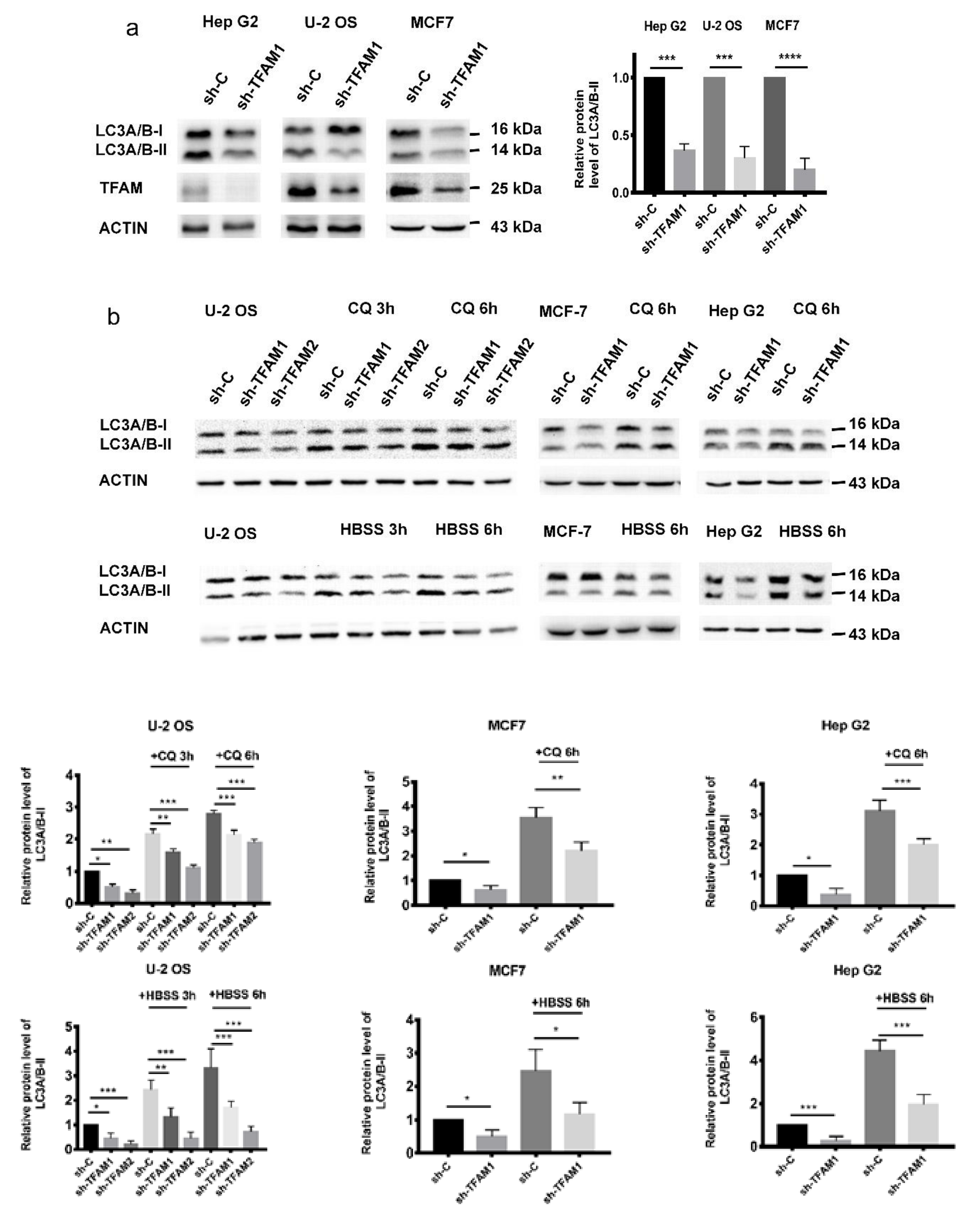 Cancers 12 00493 g001a