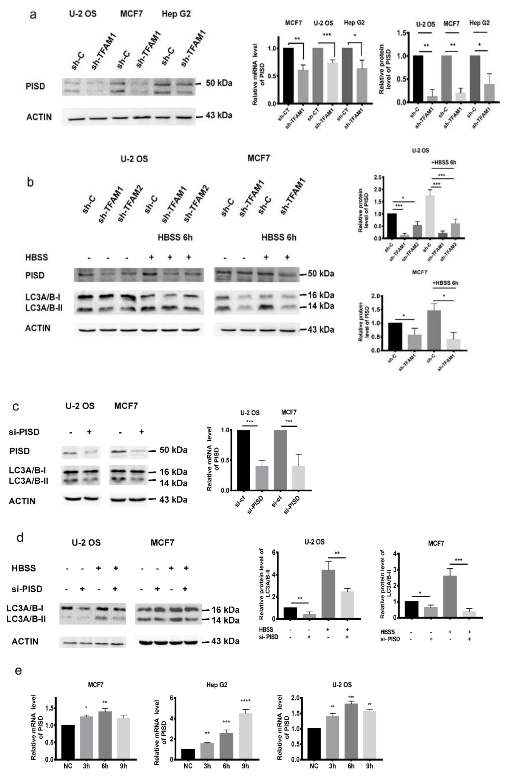 Cancers 12 00493 g002a