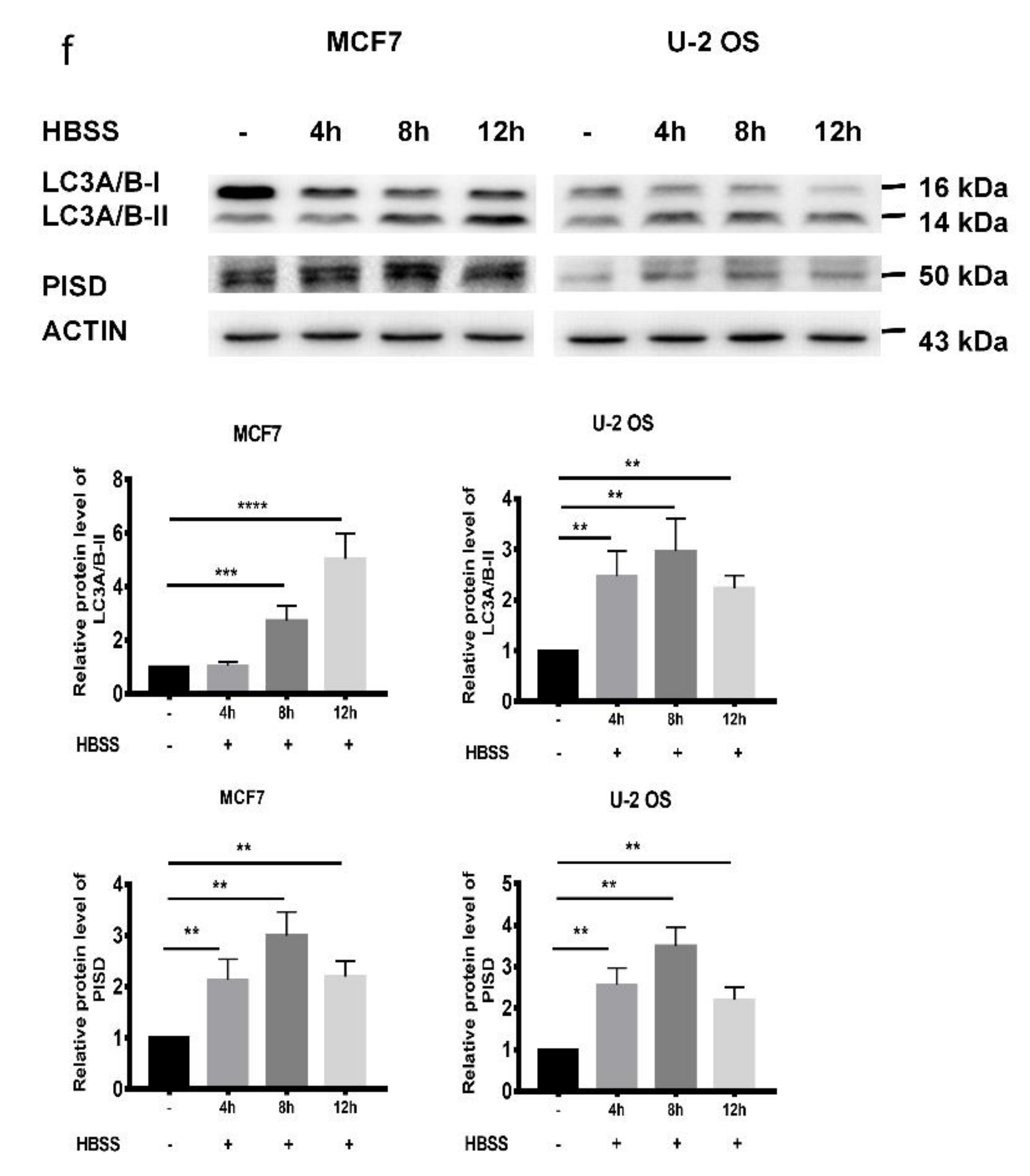 Cancers 12 00493 g002b