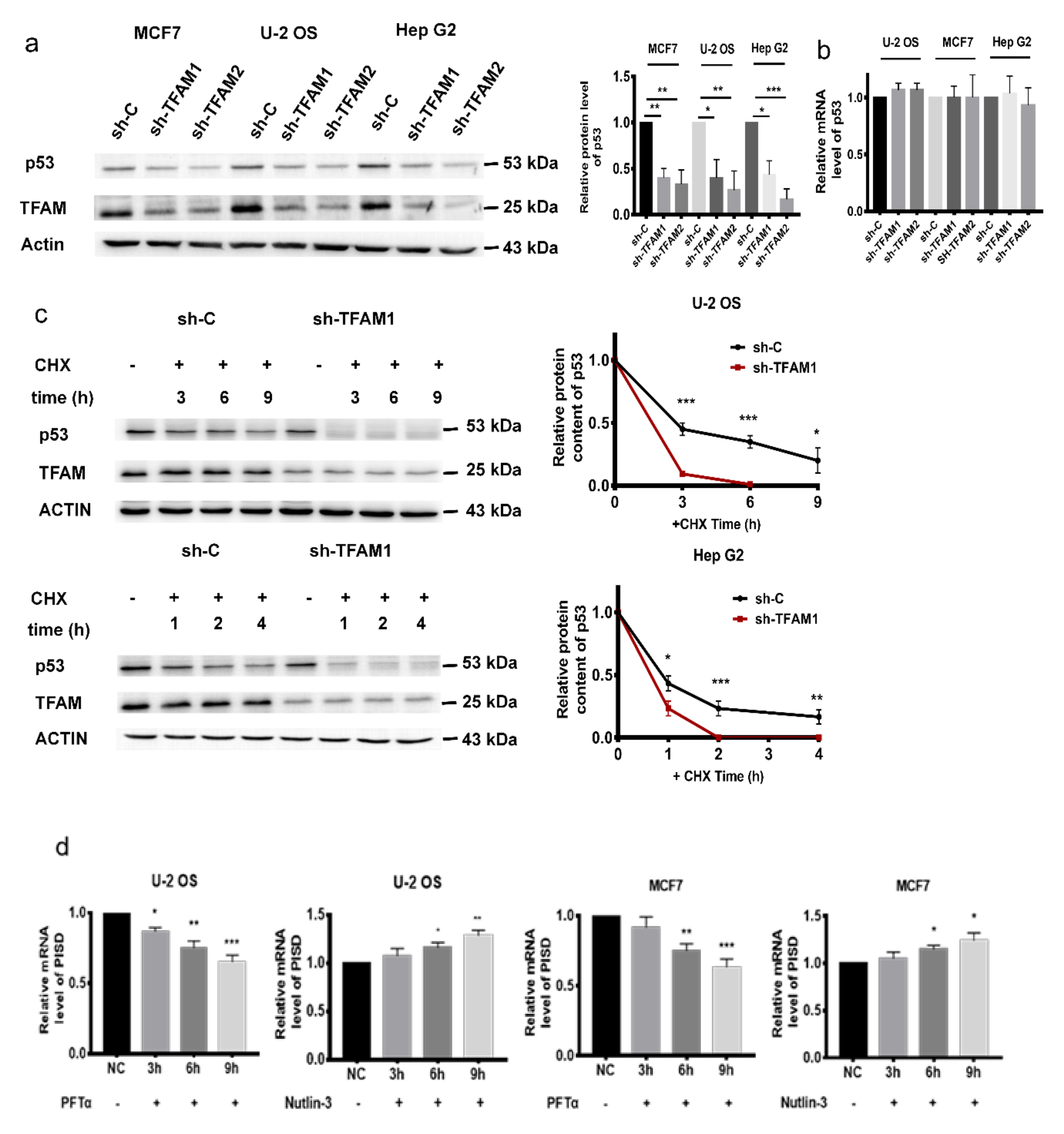 Cancers 12 00493 g003a