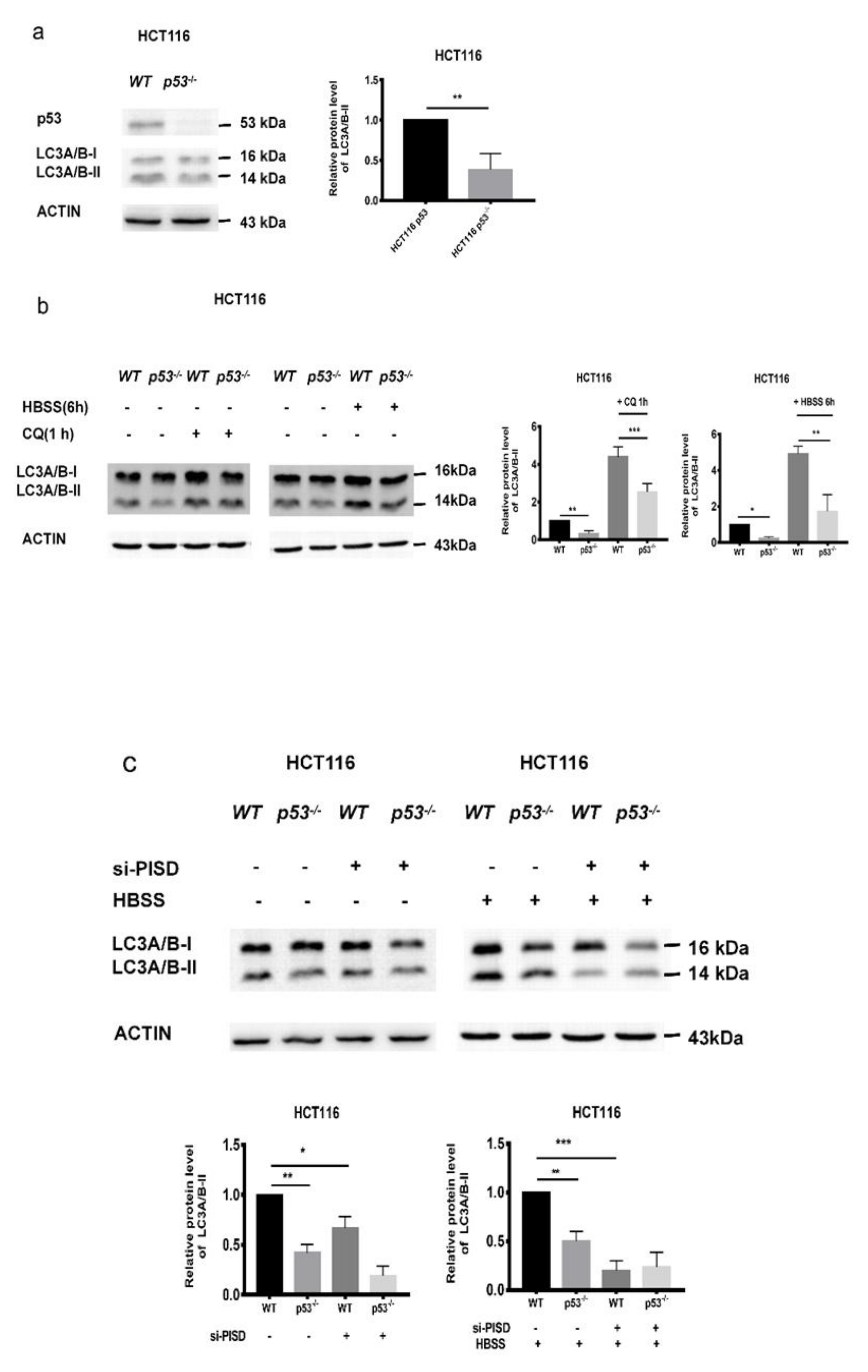 Cancers 12 00493 g004a