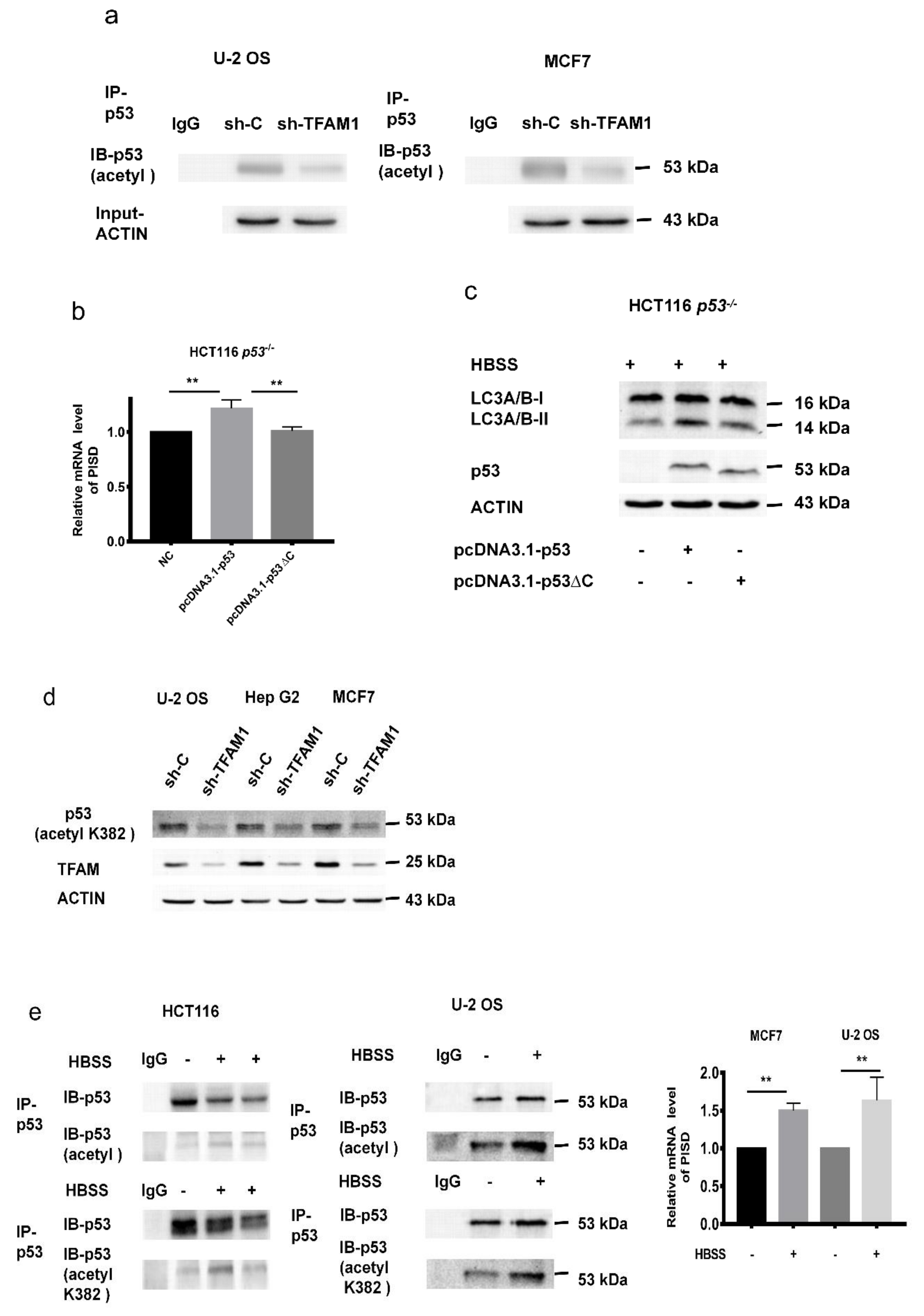 Cancers 12 00493 g005