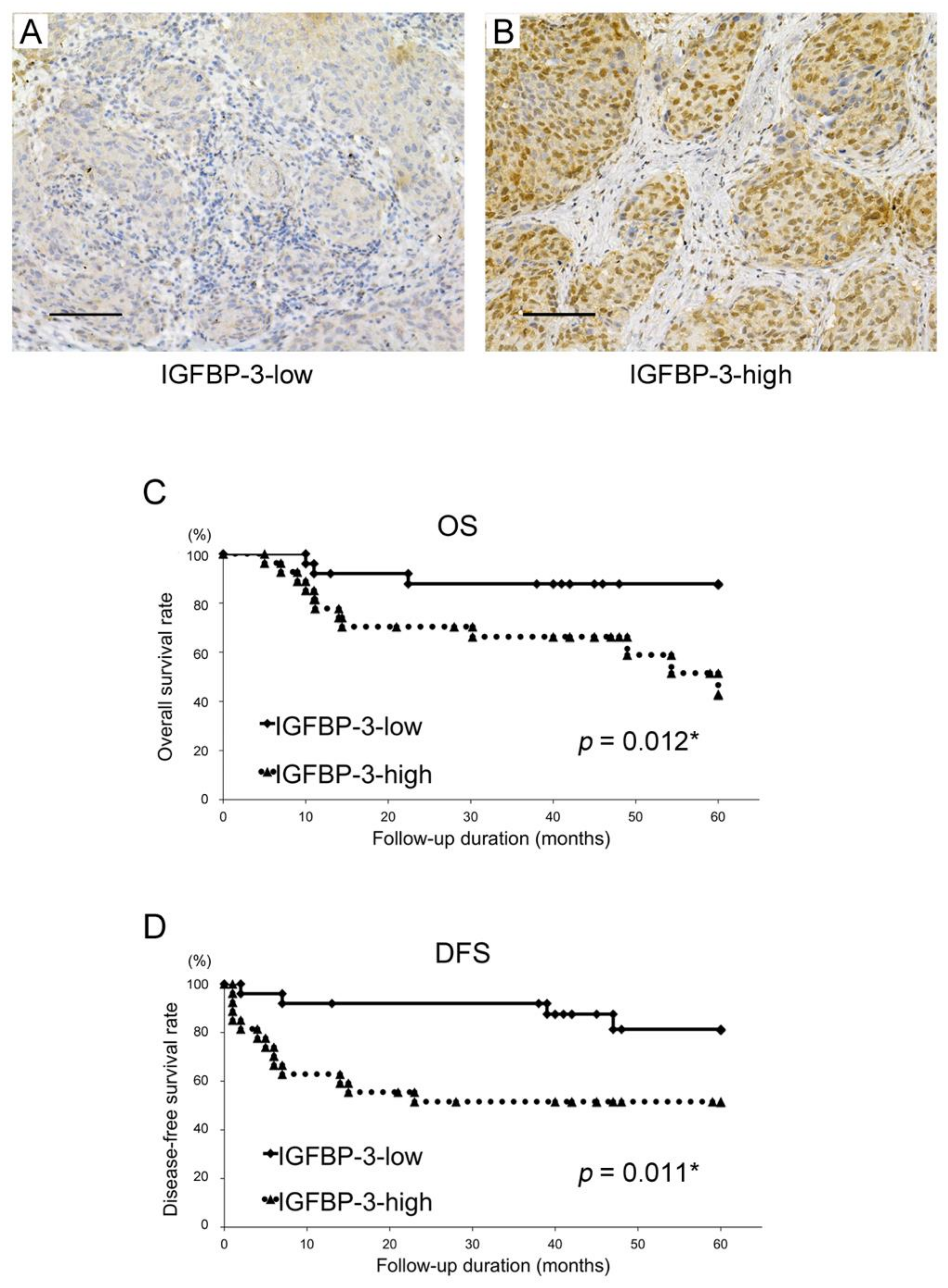 Cancers 12 00494 g001
