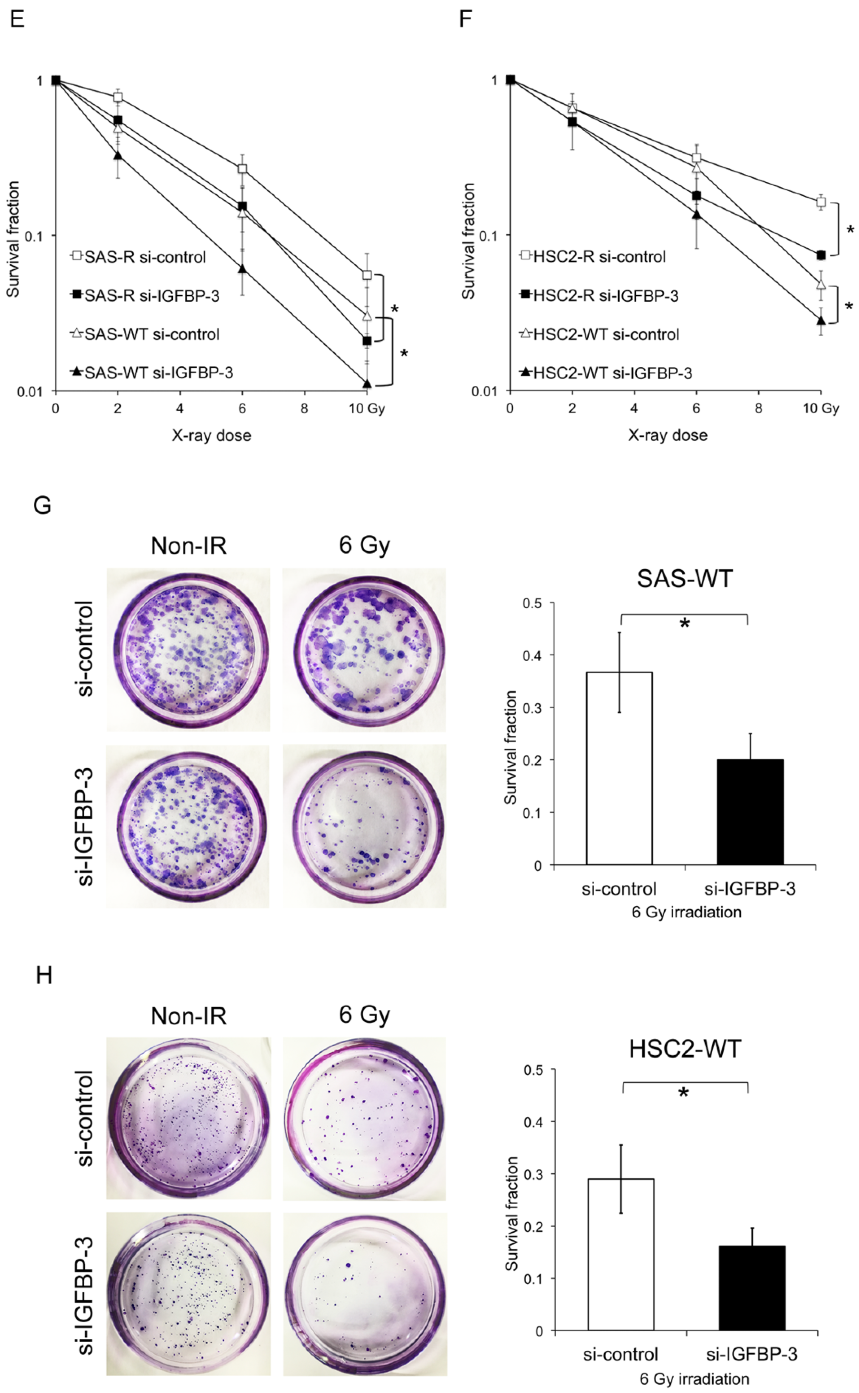 Cancers 12 00494 g002b