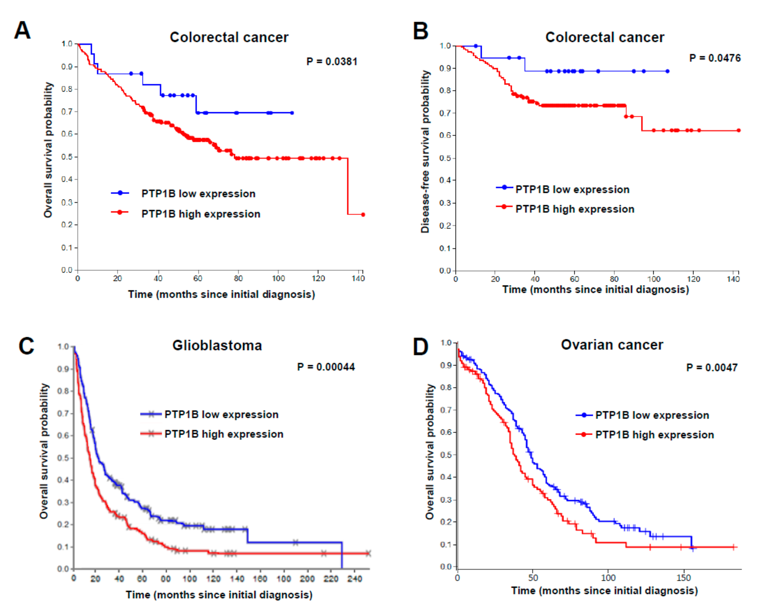 Cancers 12 00500 g002