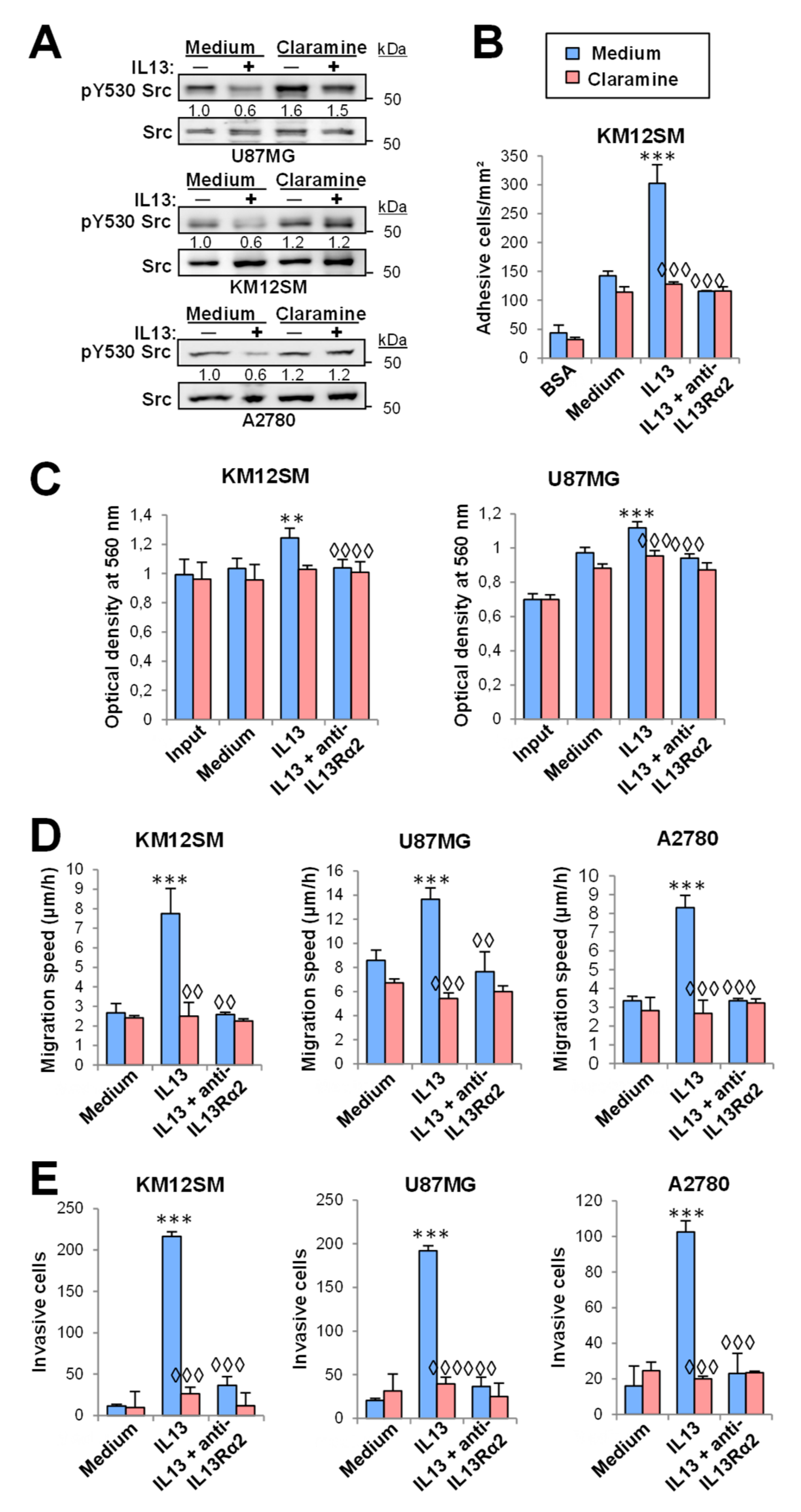 Cancers 12 00500 g005