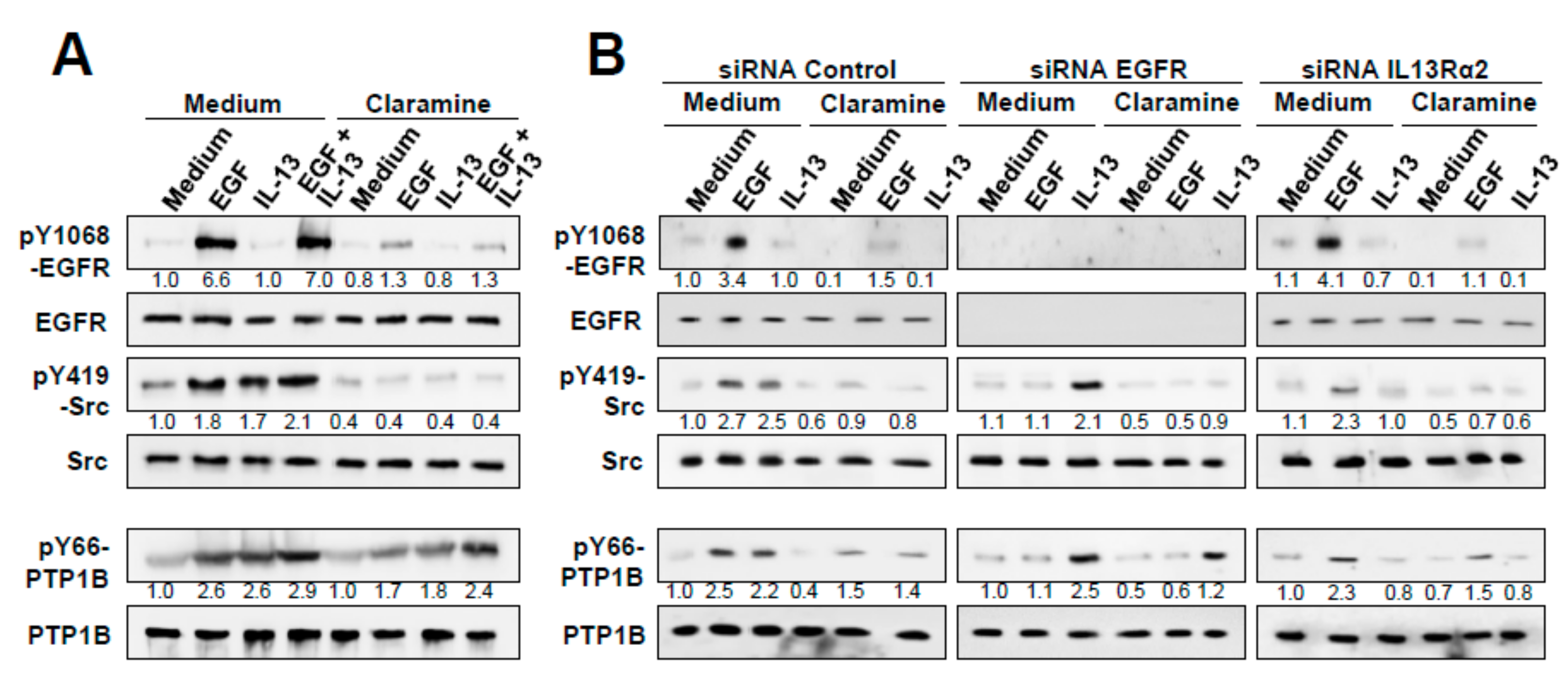 Cancers 12 00500 g006