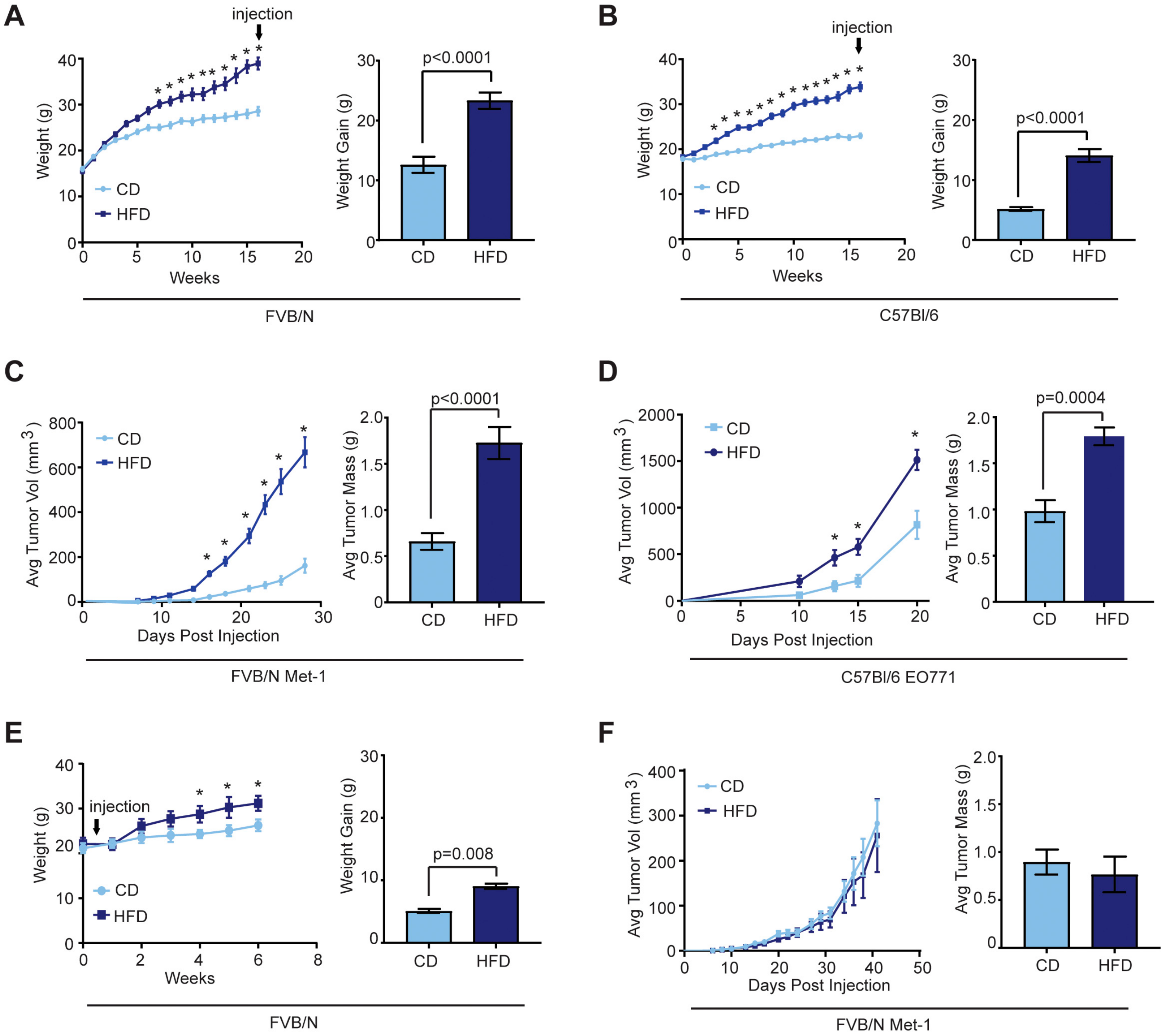 Cancers 12 00502 g001