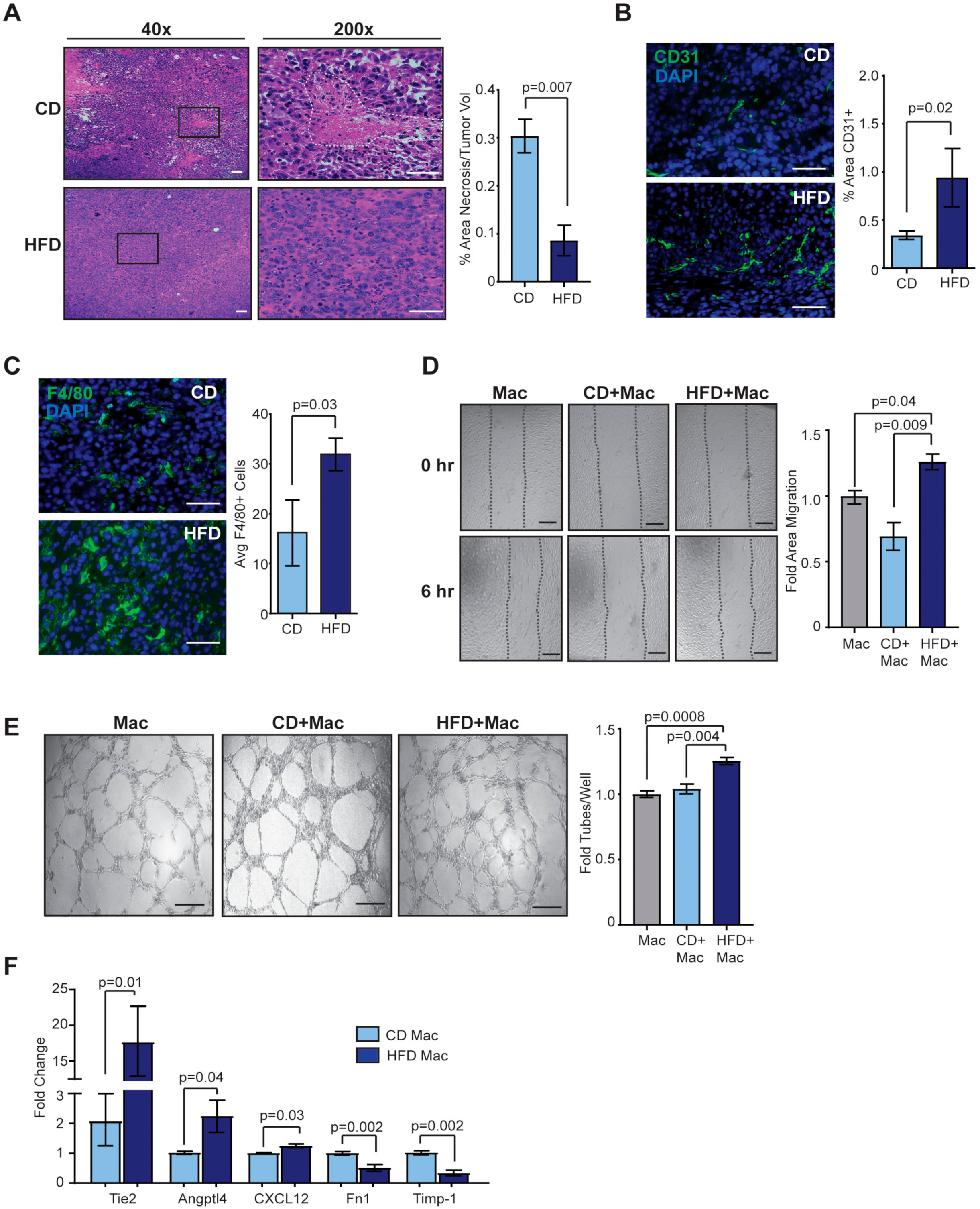 Cancers 12 00502 g003