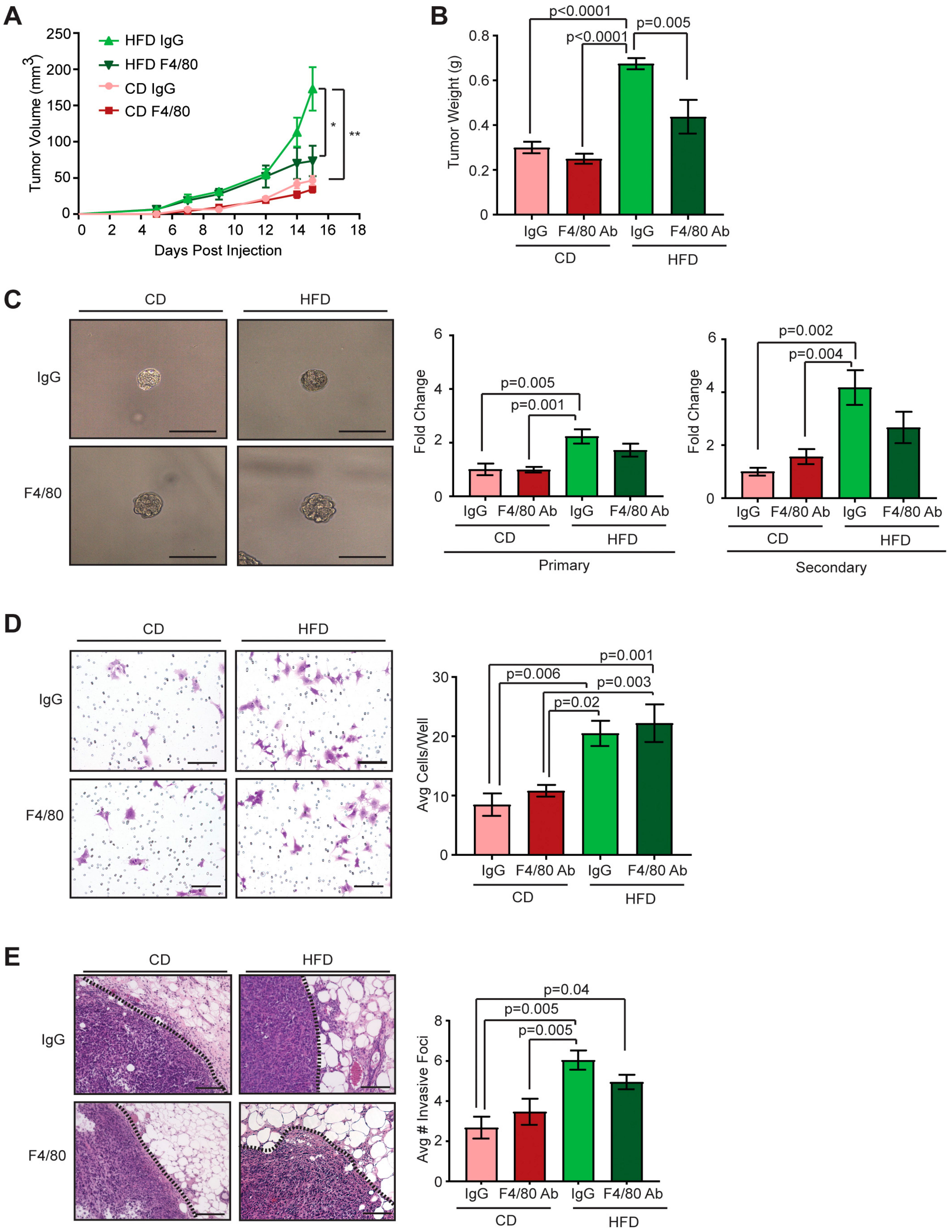 Cancers 12 00502 g004
