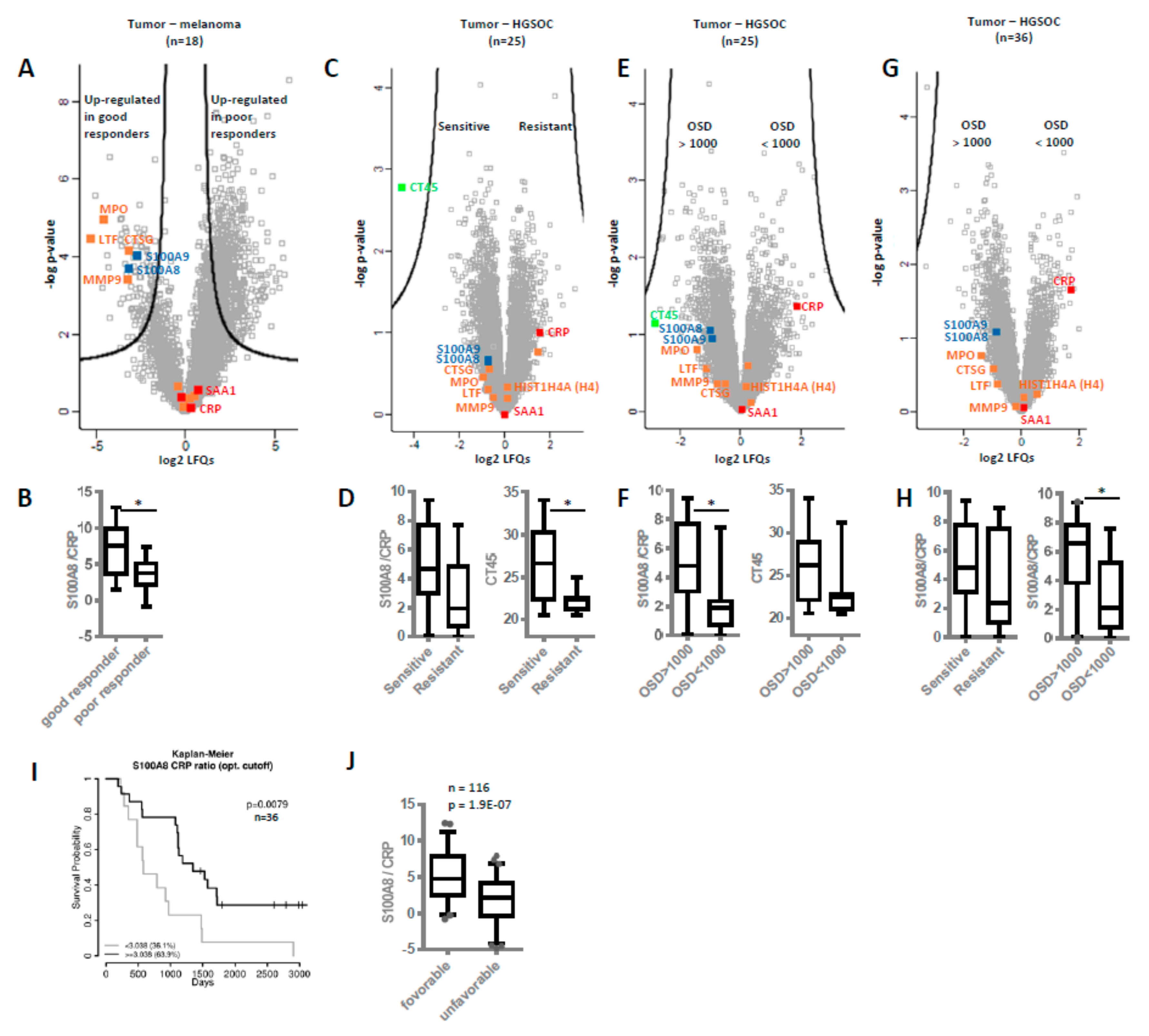 Cancers 12 00505 g005