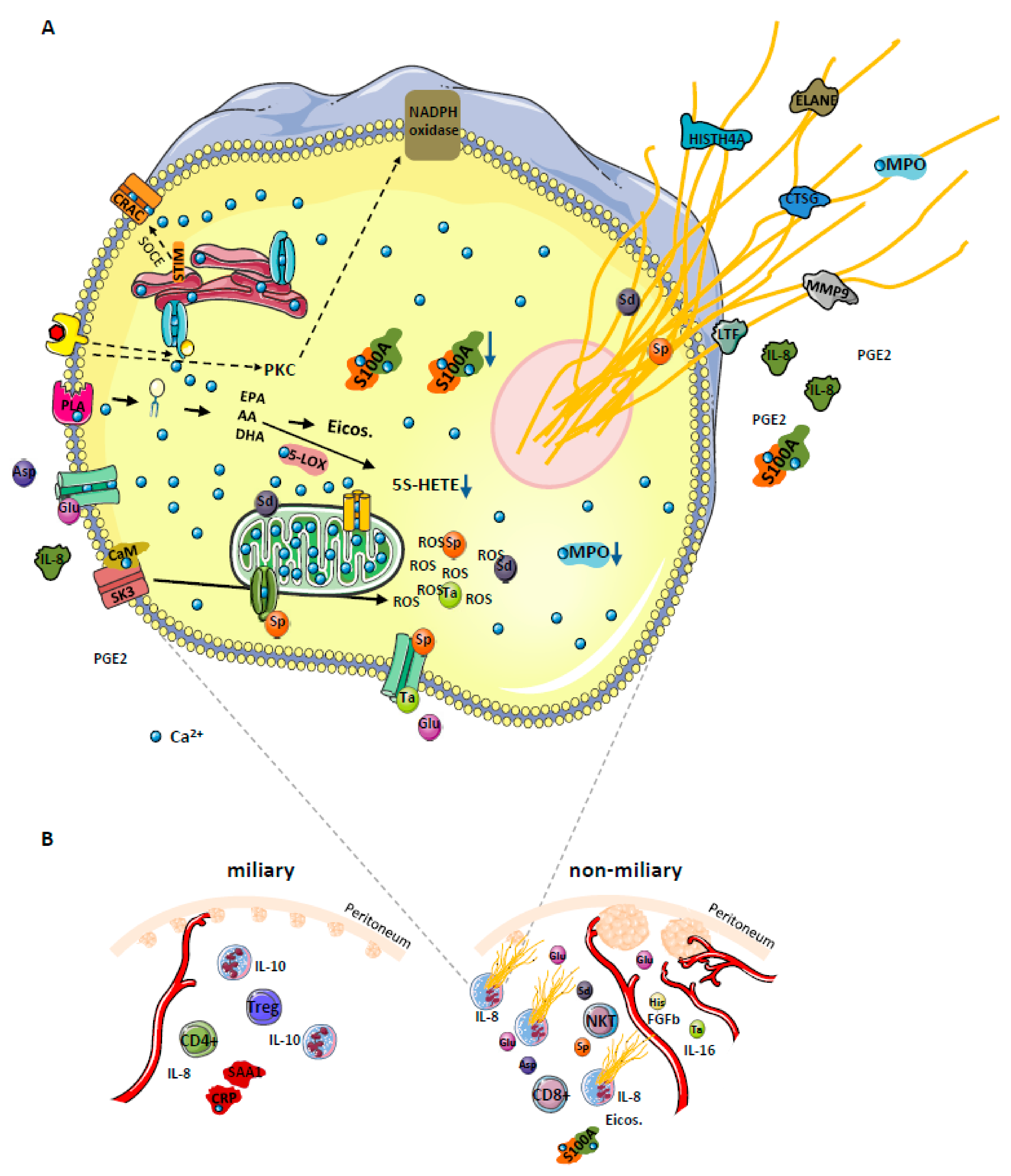 Cancers 12 00505 g006