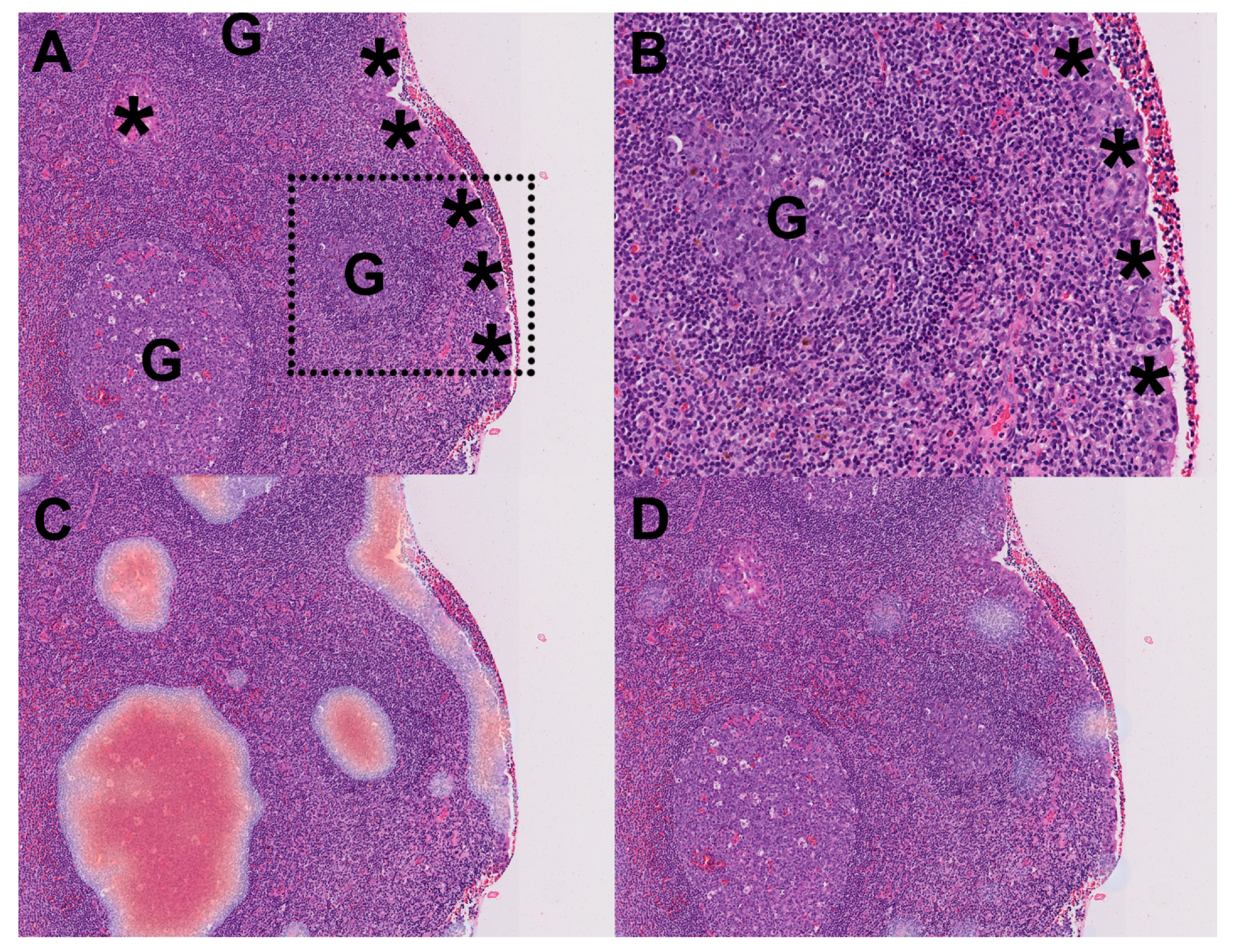 Cancers 12 00507 g001