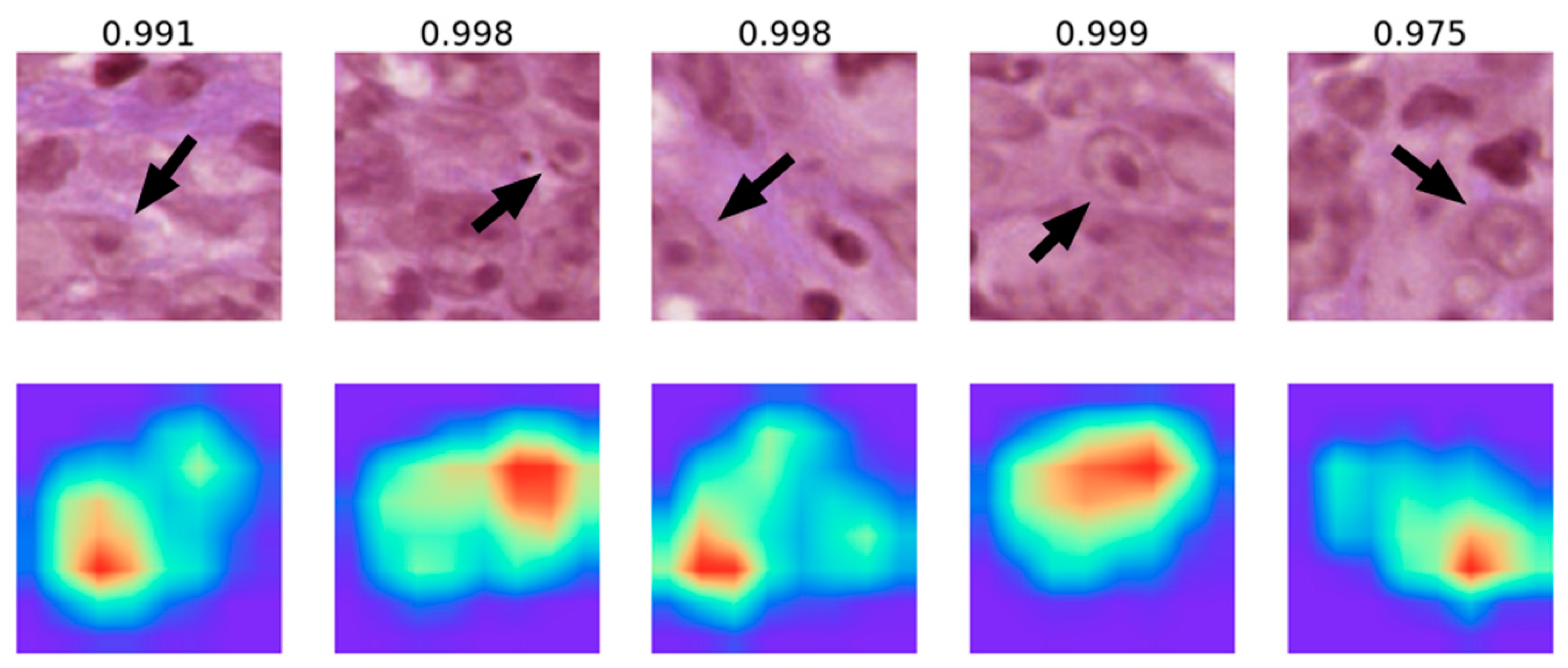 Cancers 12 00507 g003