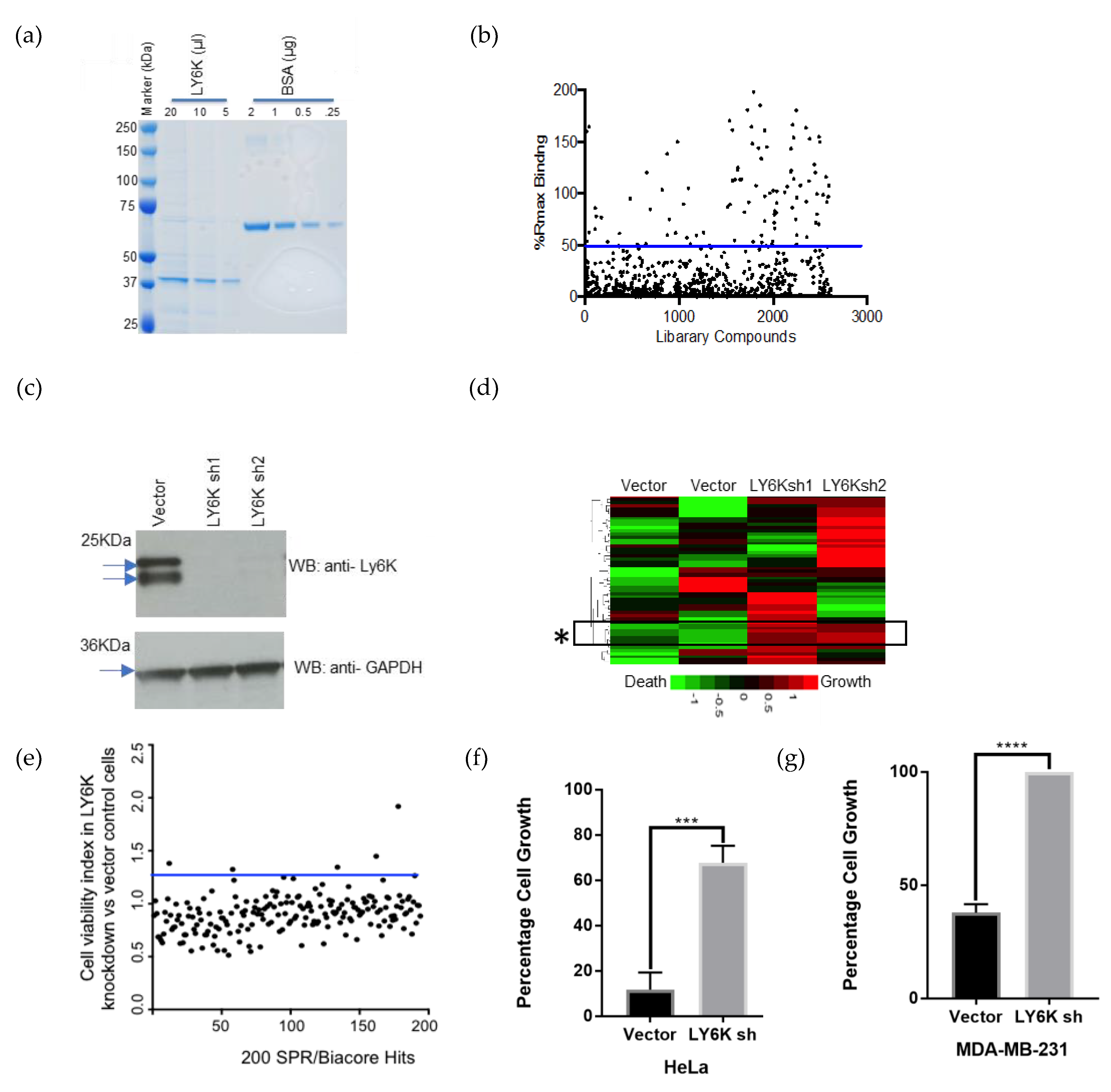 Cancers 12 00509 g002 Cancers 12 00509 g002