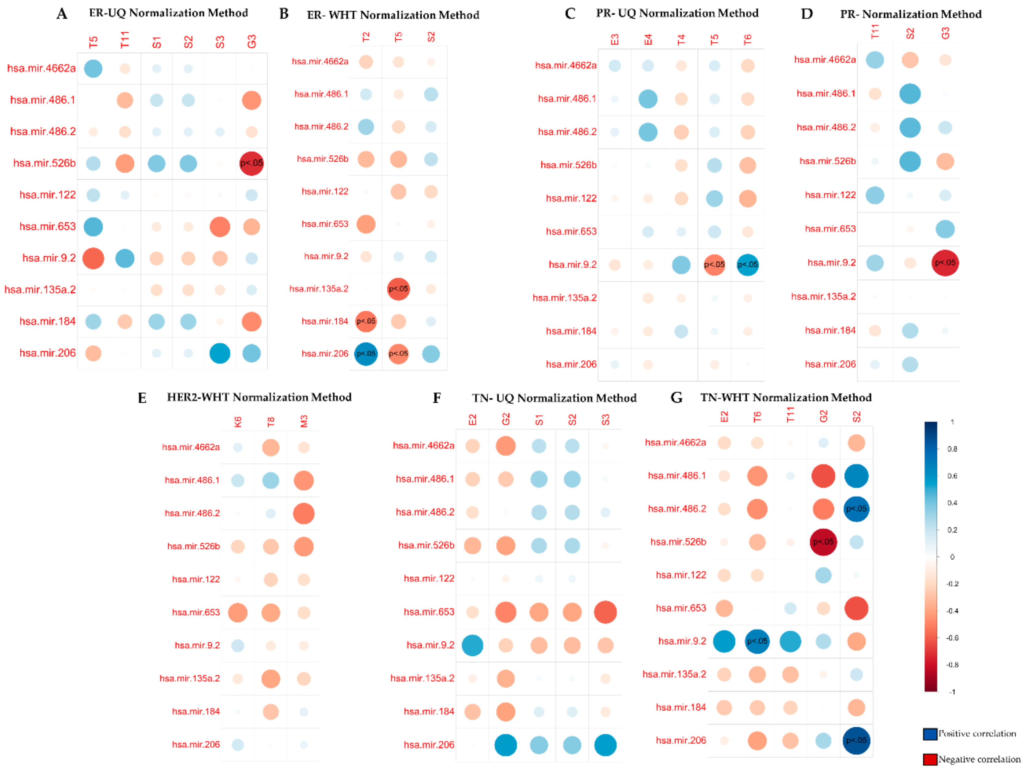 Cancers 12 00518 g004 Cancers 12 00518 g004