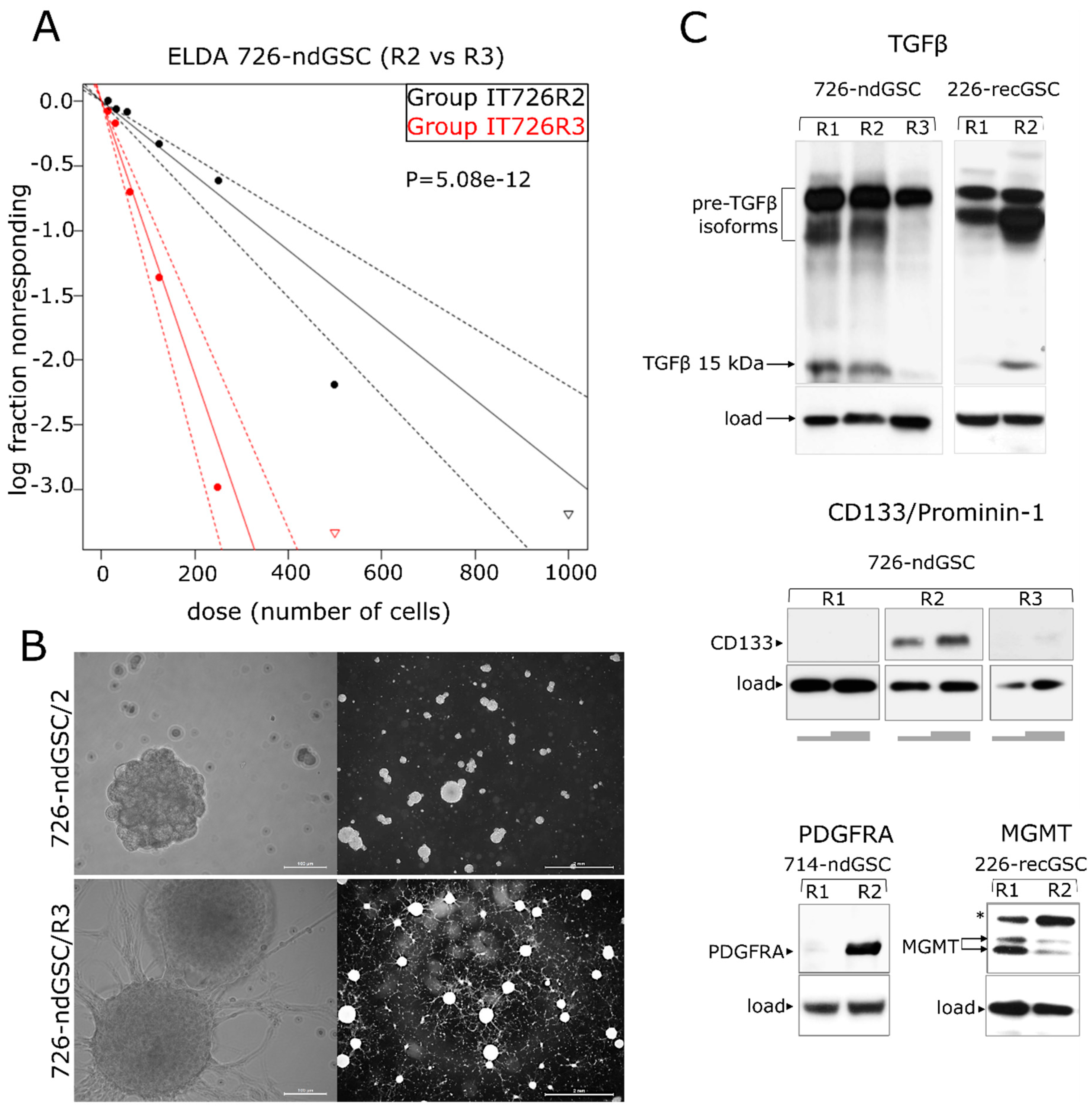 Cancers 12 00520 g005