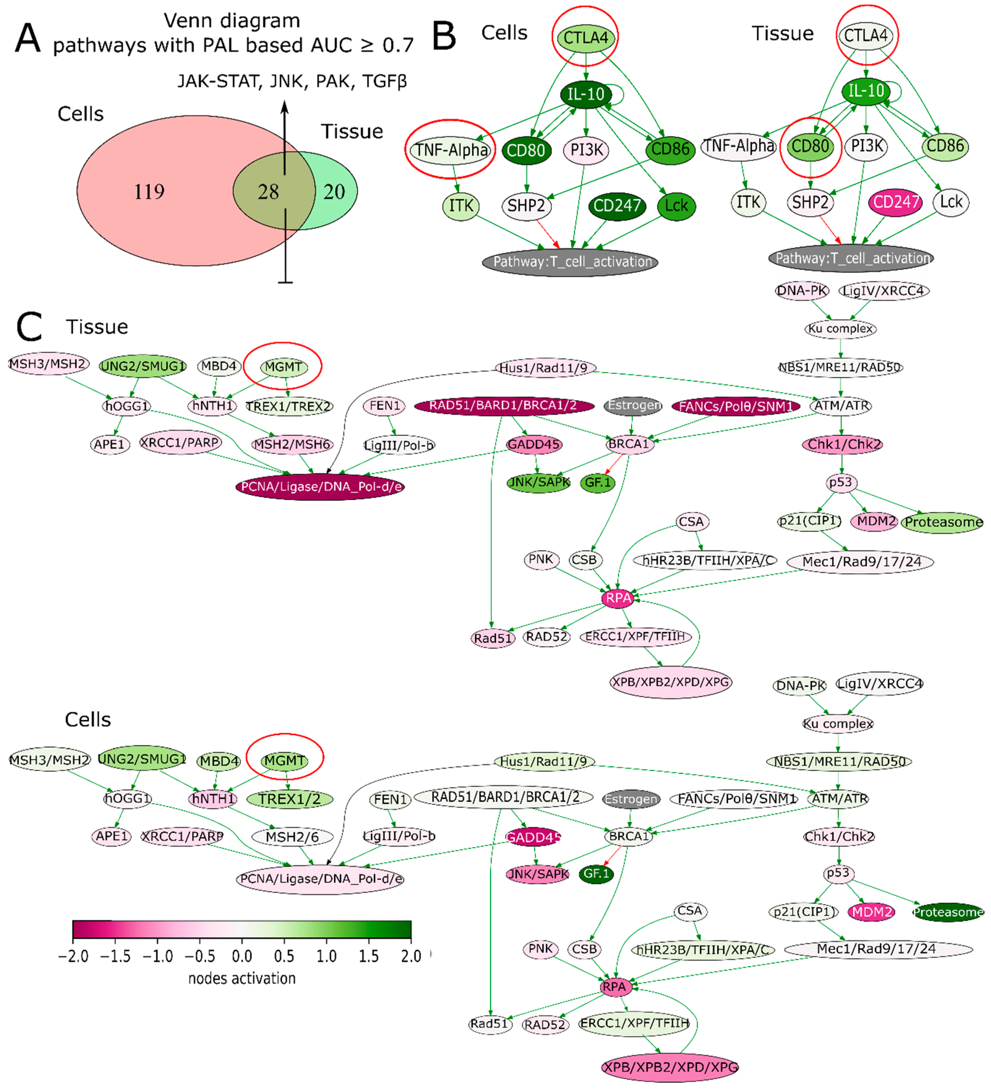 Cancers 12 00520 g006