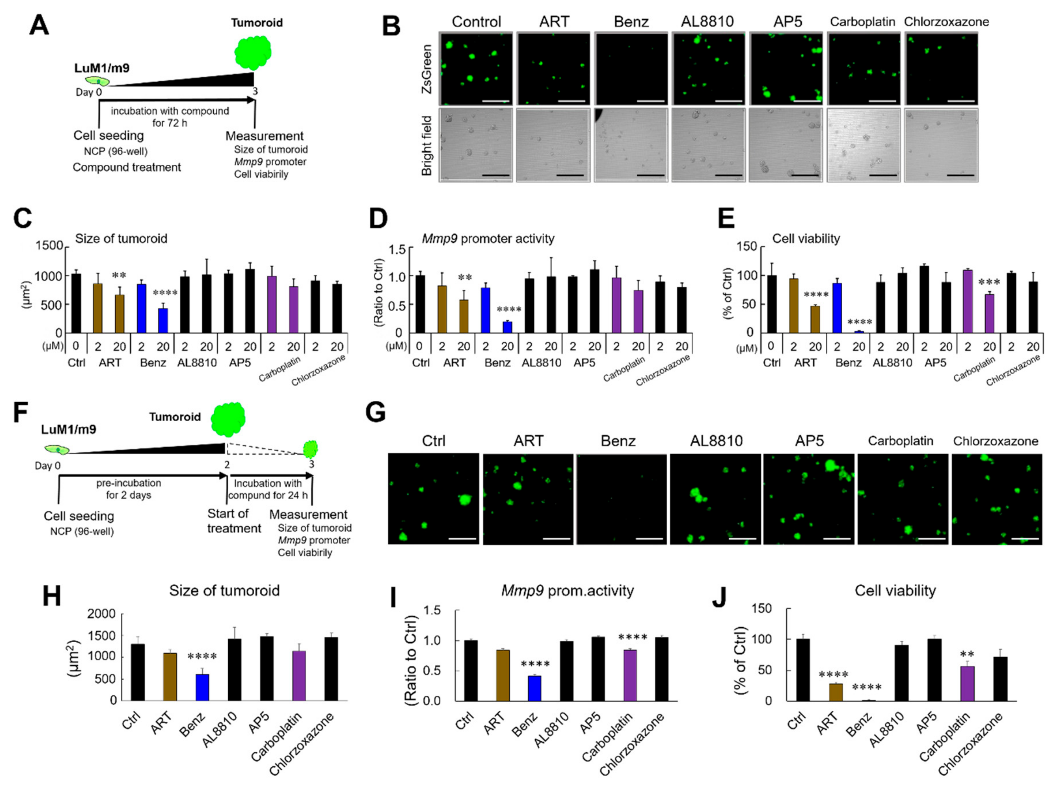 Cancers 12 00523 g001