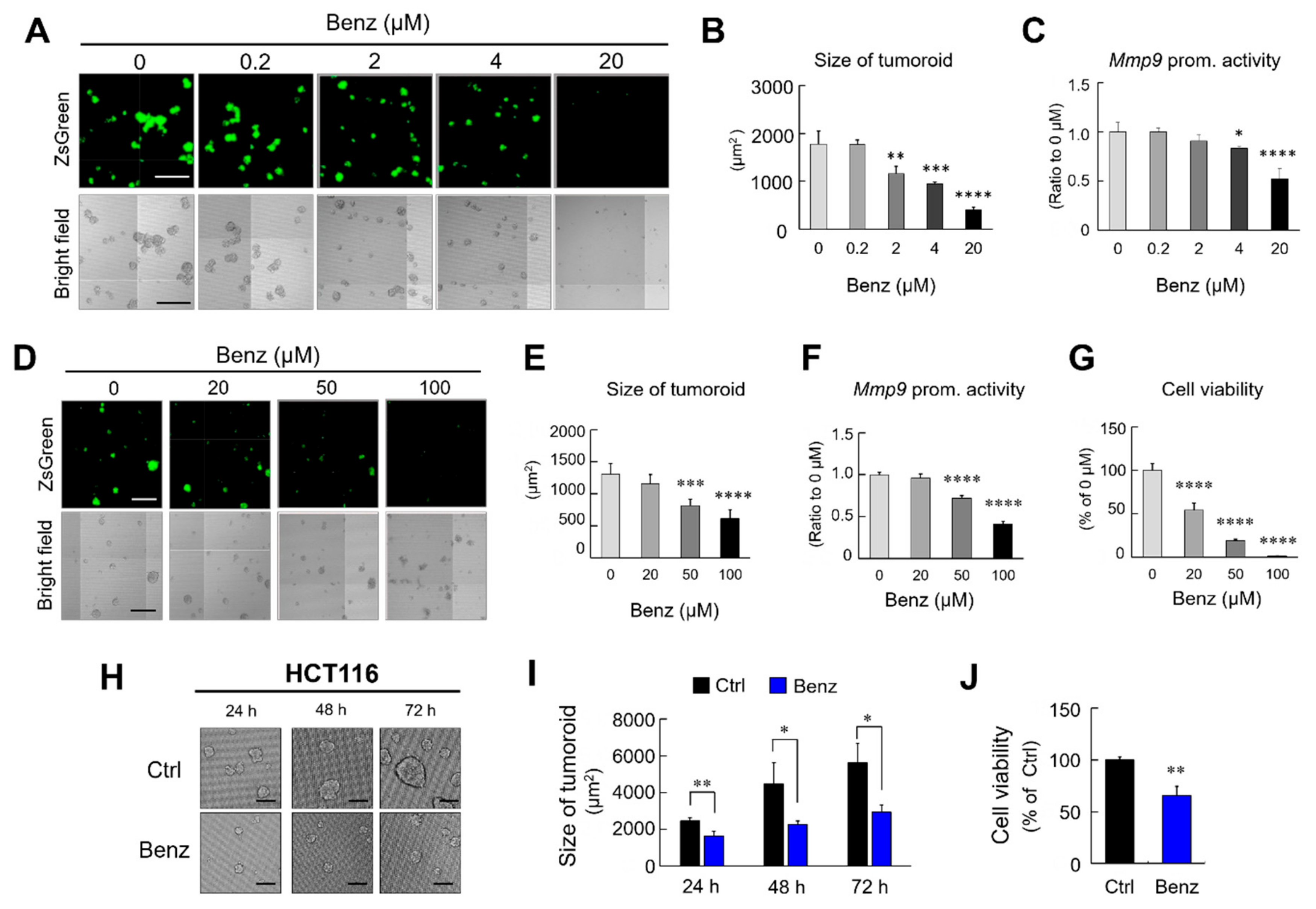 Cancers 12 00523 g002