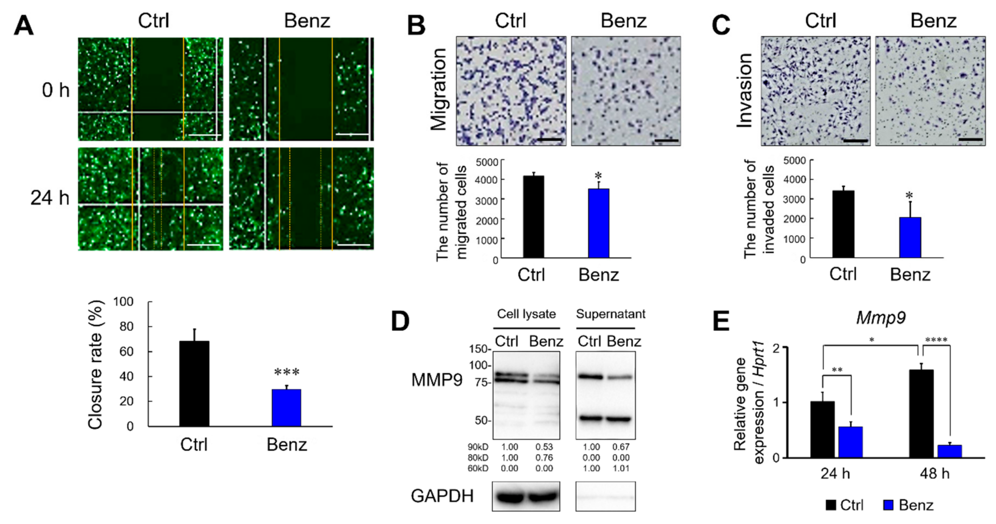 Cancers 12 00523 g003