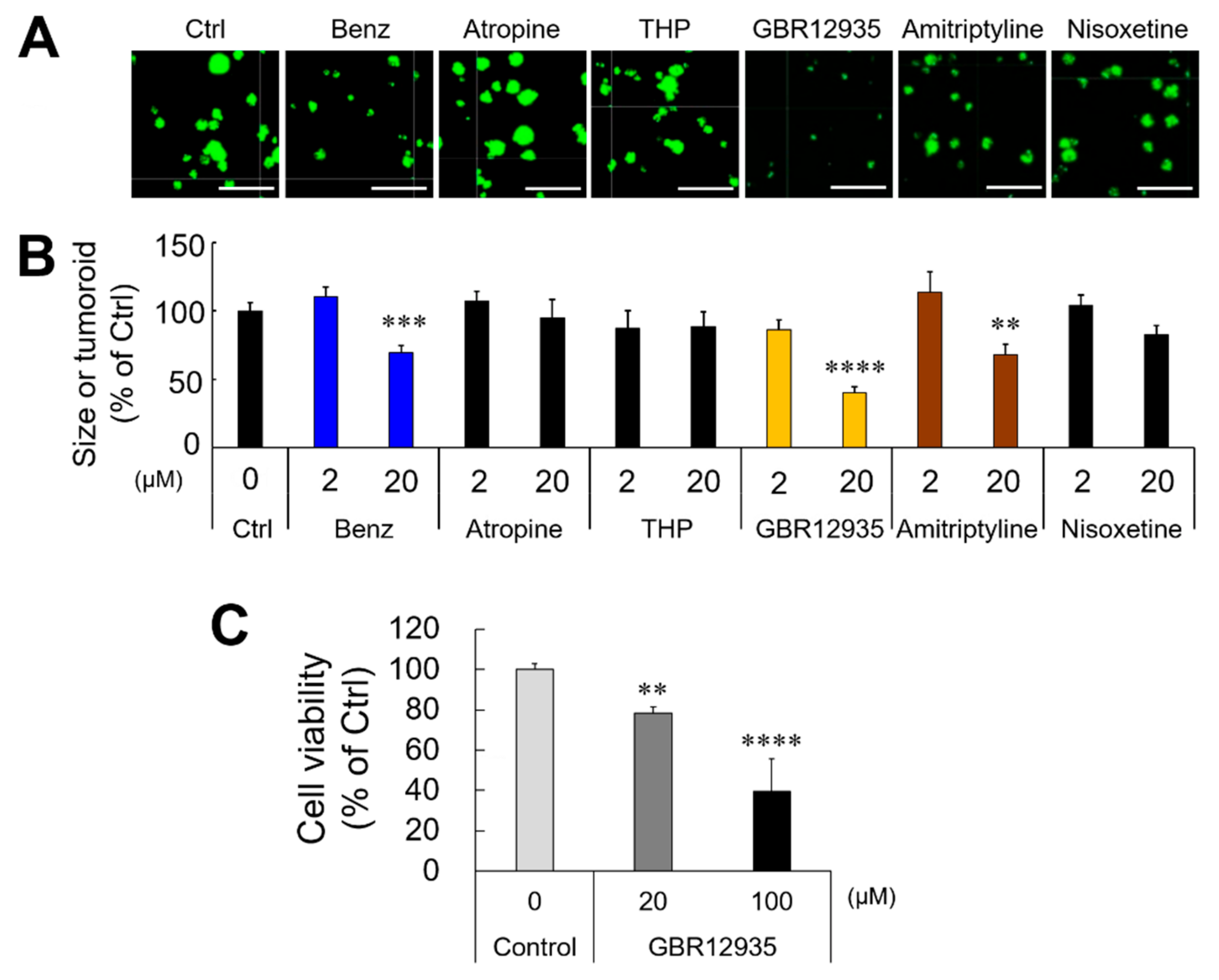 Cancers 12 00523 g005