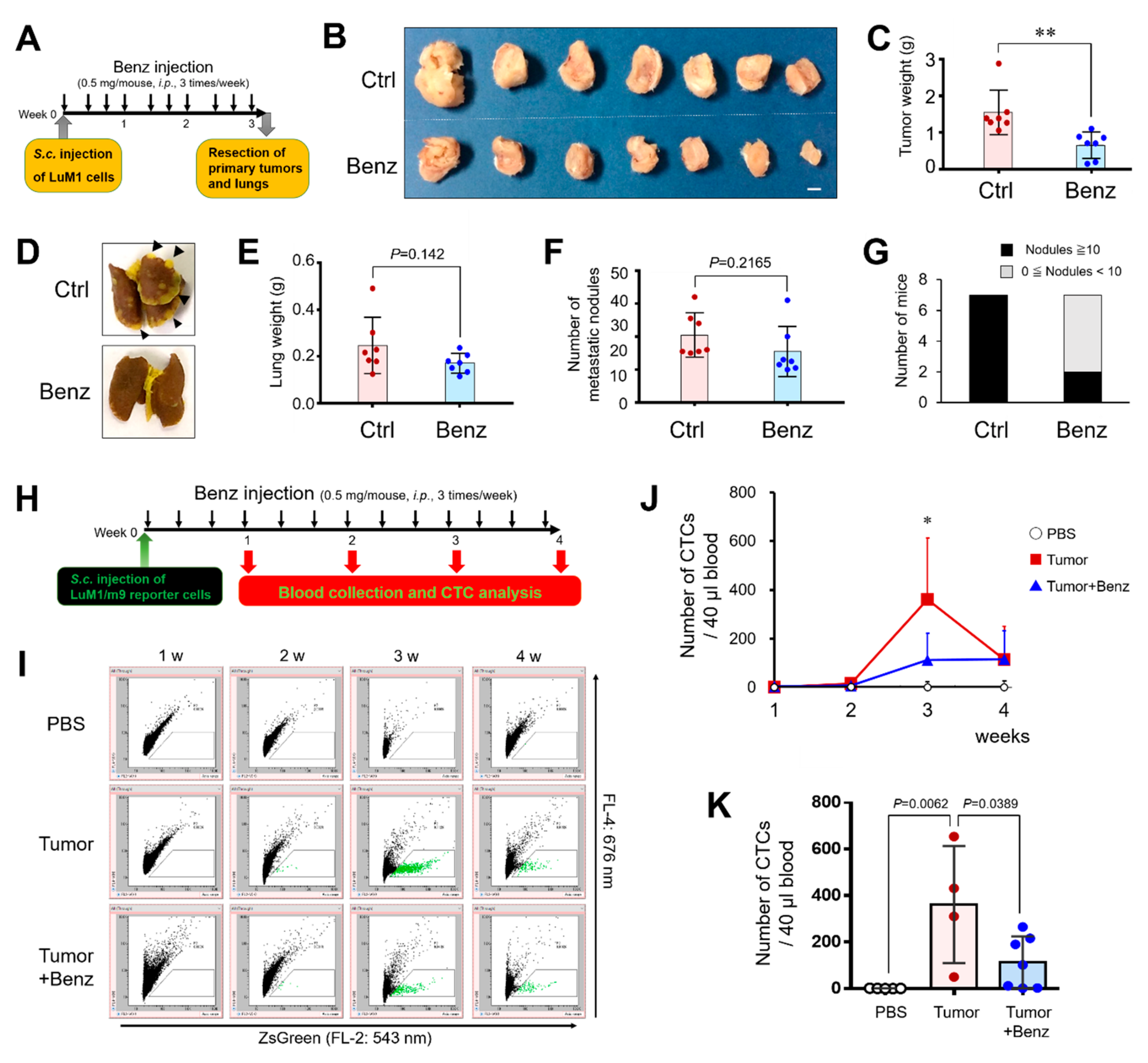 Cancers 12 00523 g006