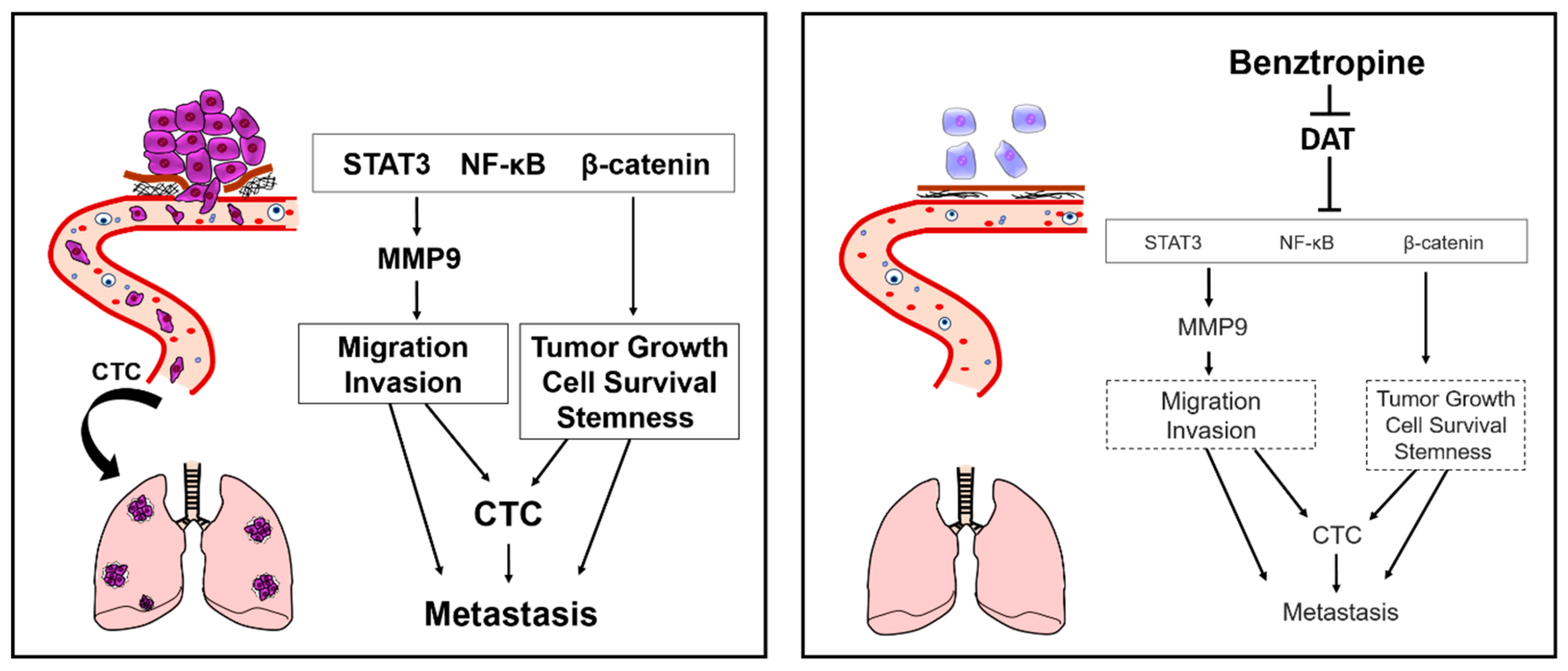 Cancers 12 00523 g008