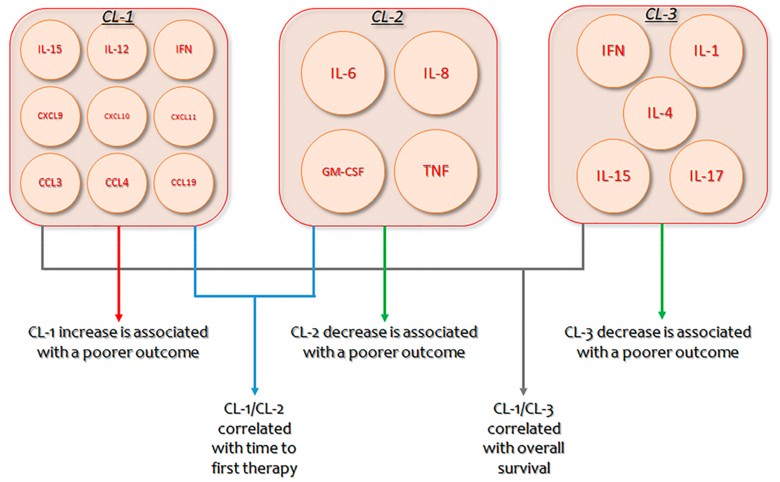 Cancers 12 00524 g002