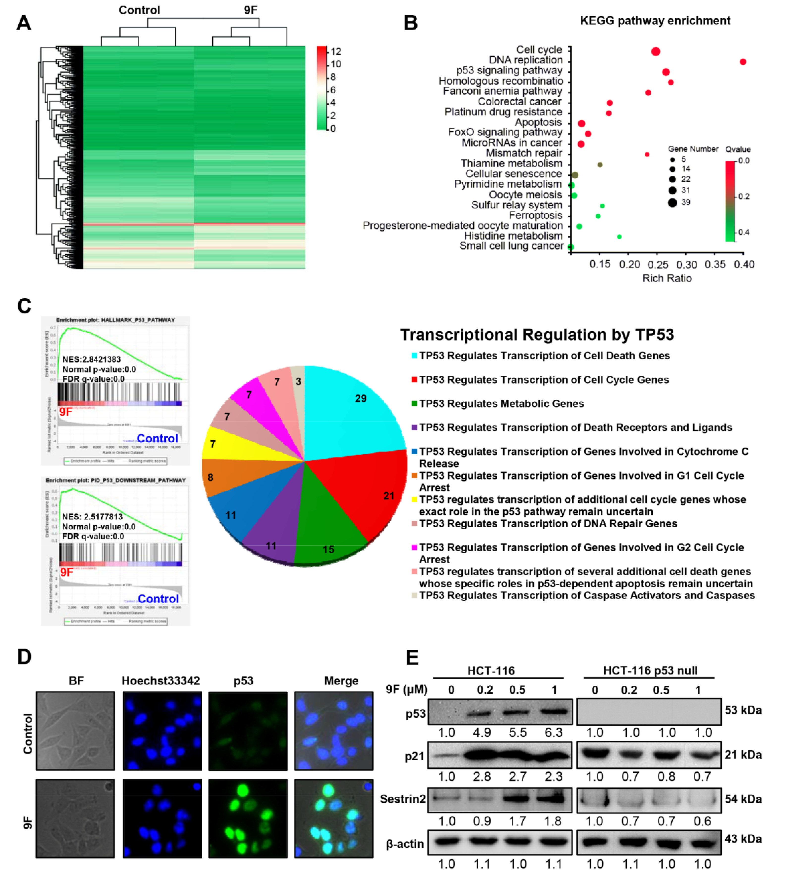 Cancers 12 00528 g002