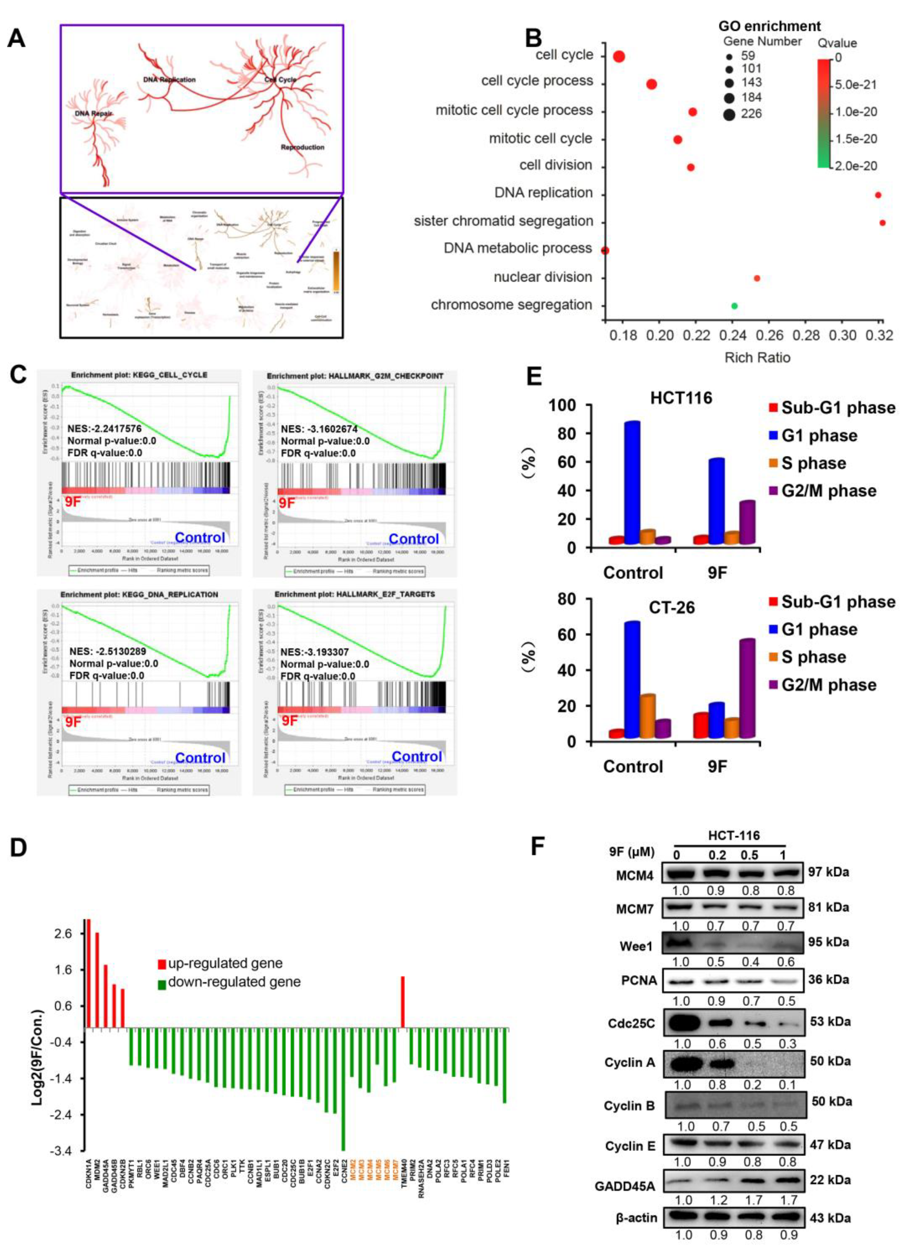 Cancers 12 00528 g003