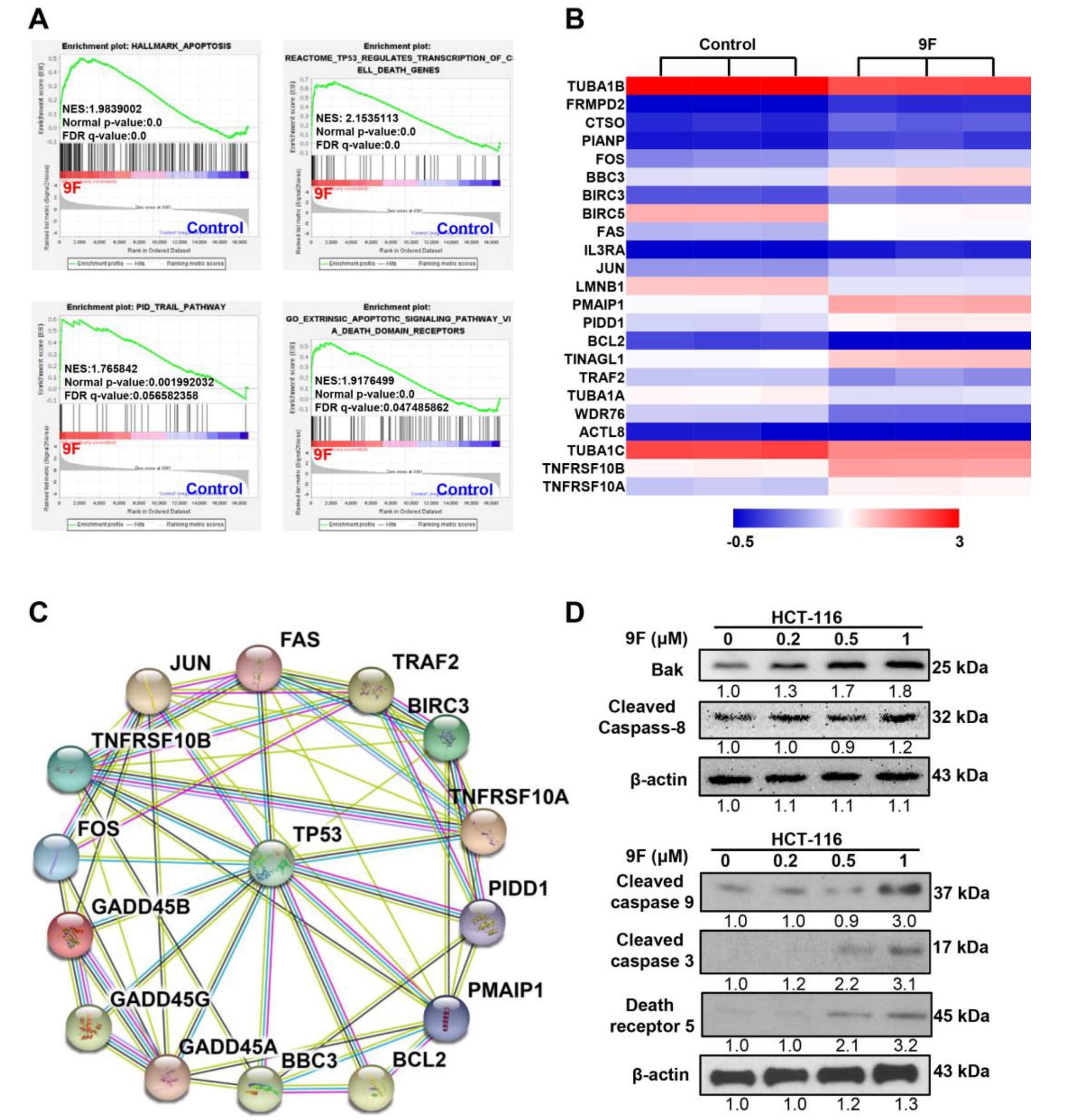 Cancers 12 00528 g004