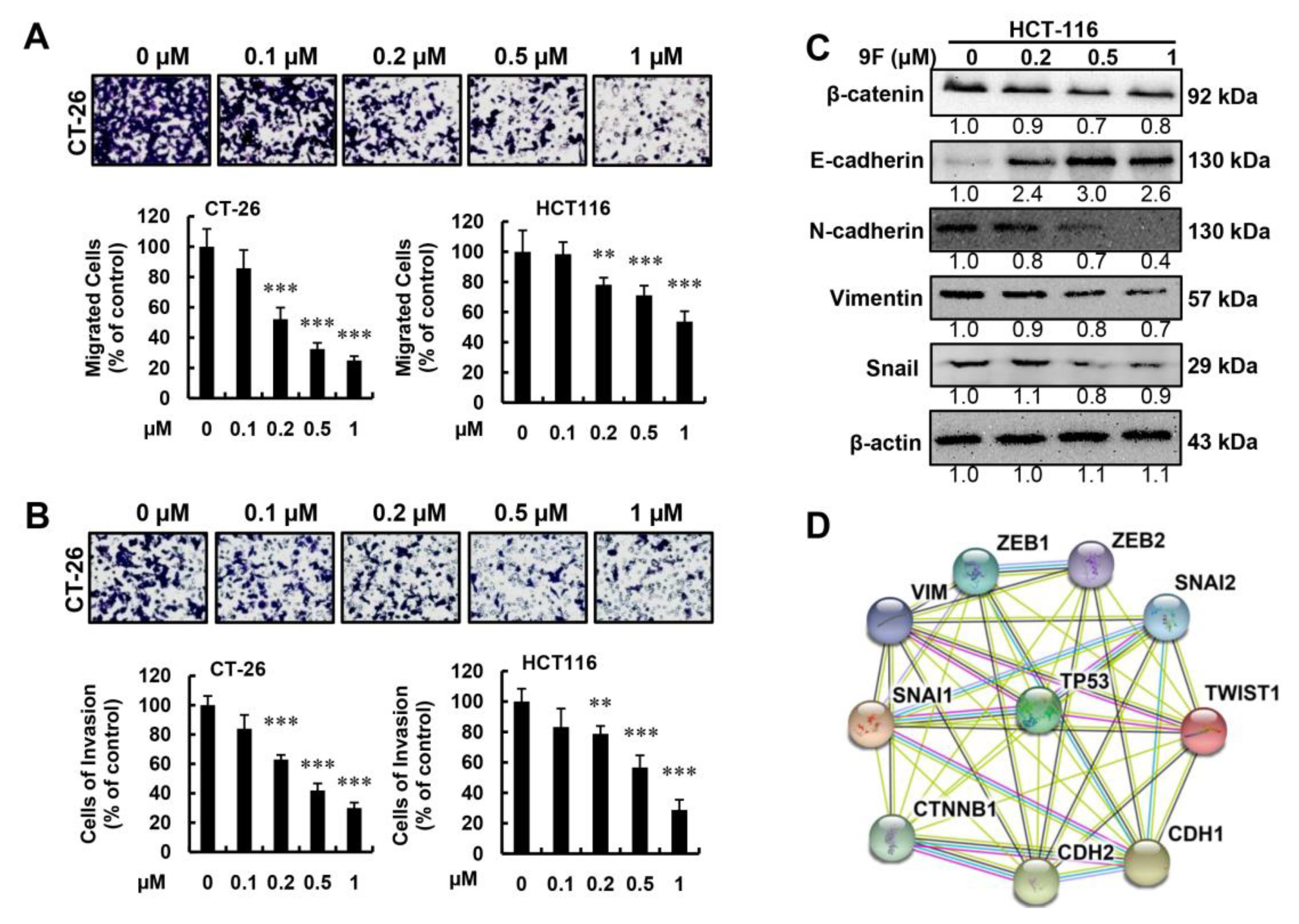 Cancers 12 00528 g005
